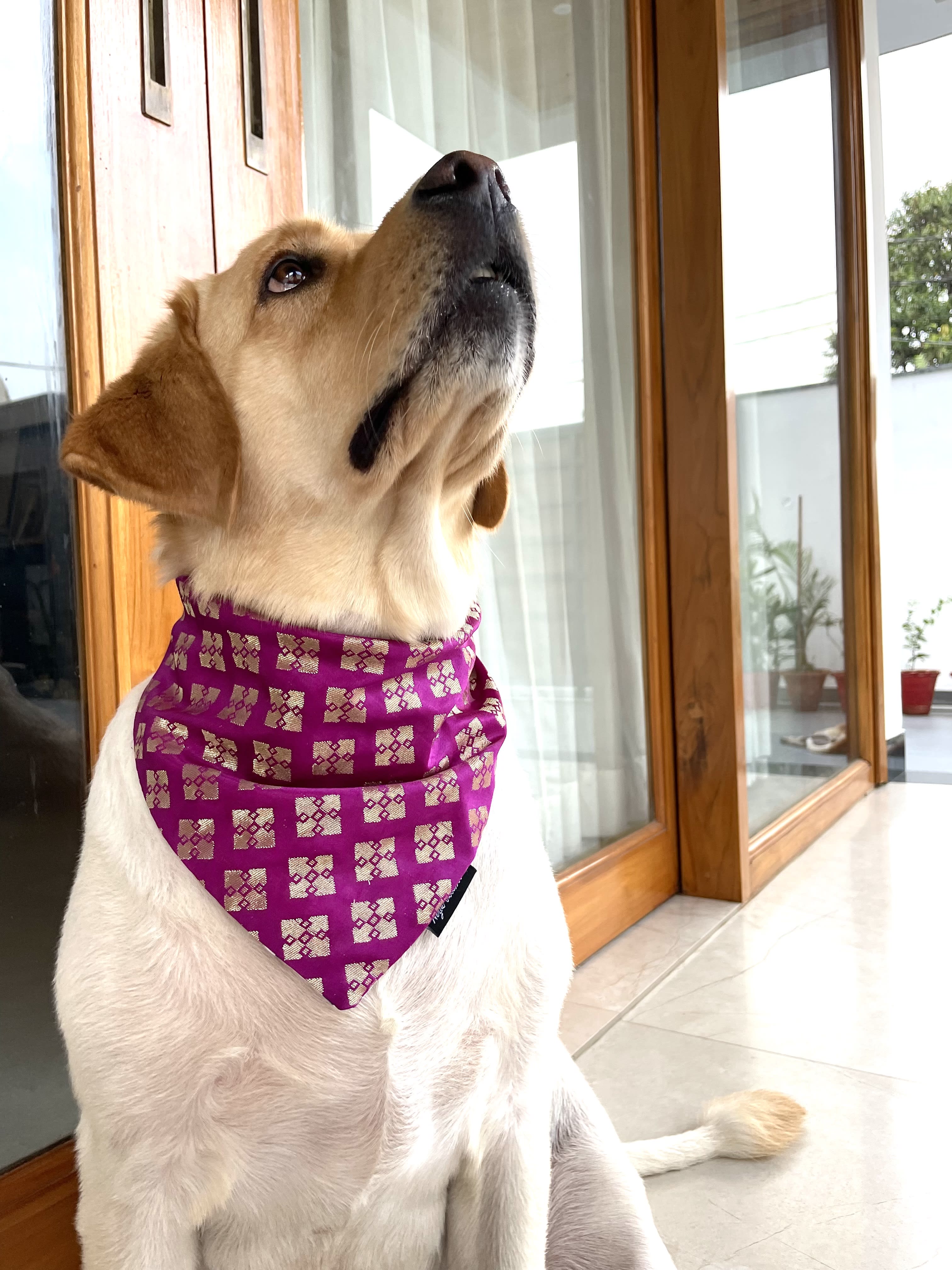 Magenta Banarasi tie on Bandana  image 3