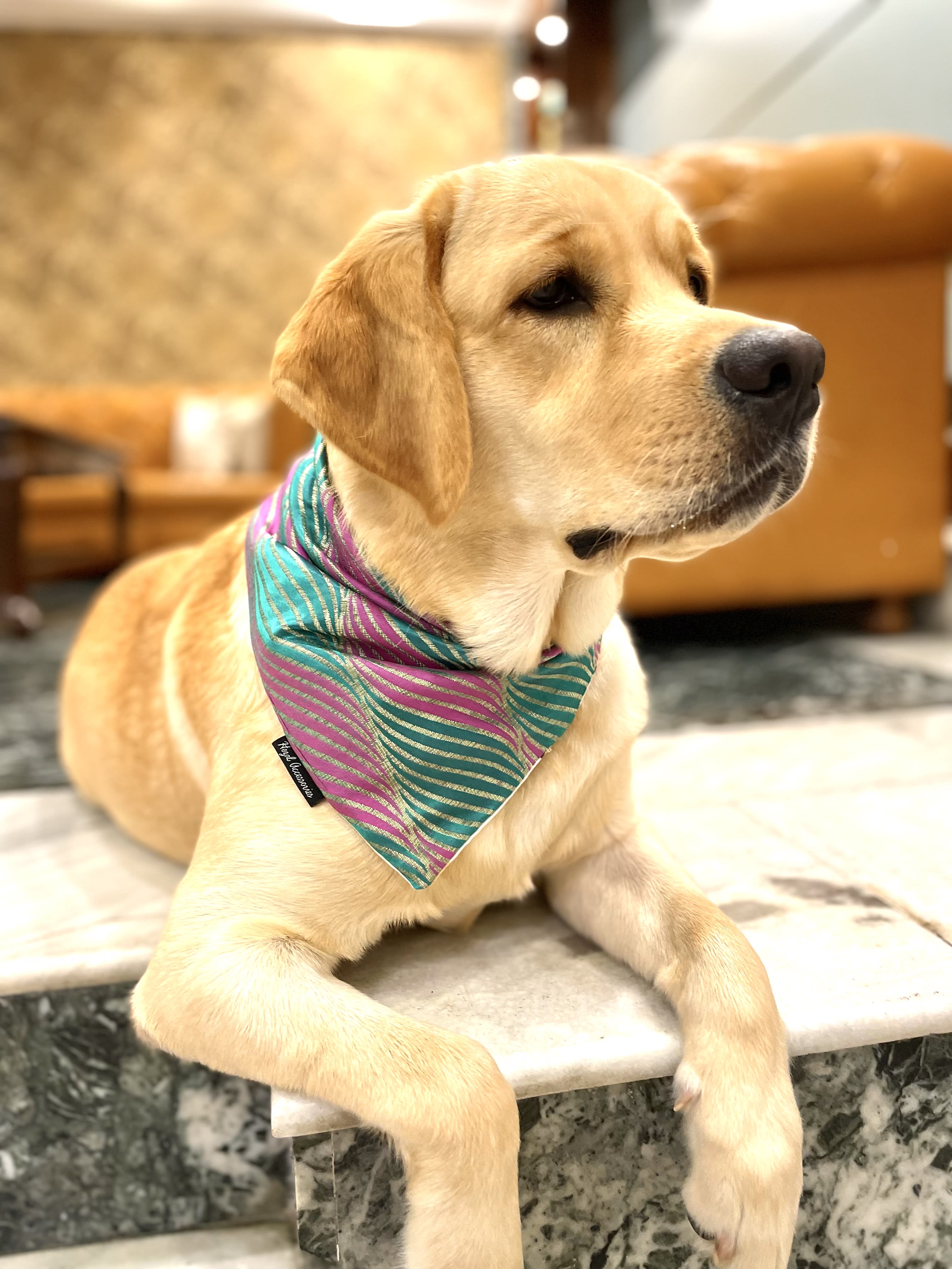 Emerald & Orchid Stripes Silk tie on Bandana