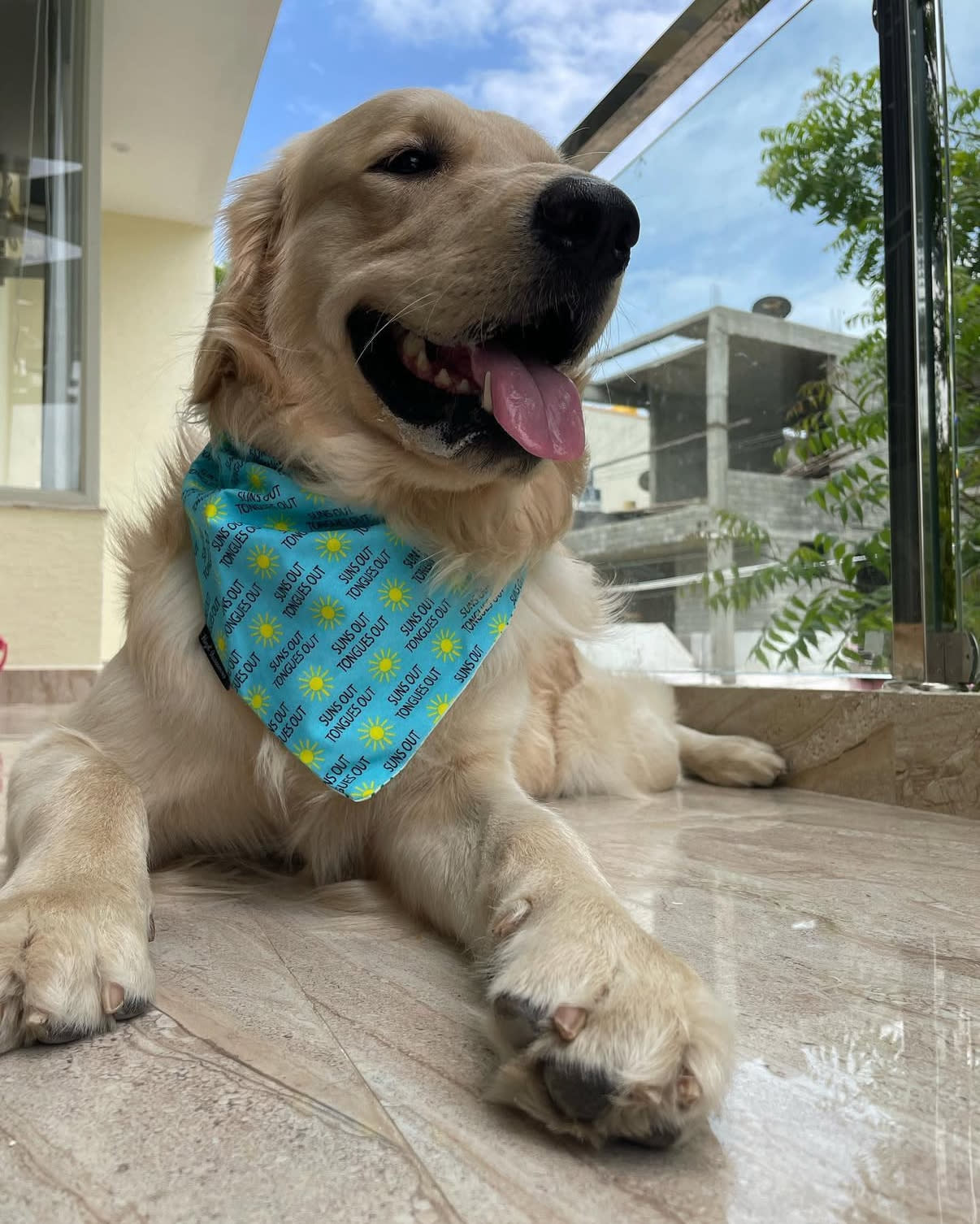 Suns Out, Tongues Out tie on Bandana