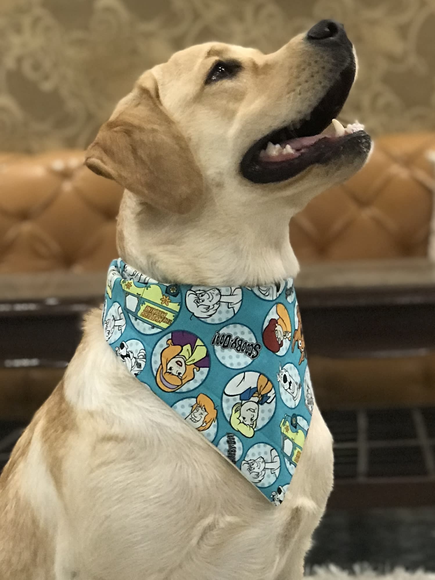Scooby Style tie on Bandana
