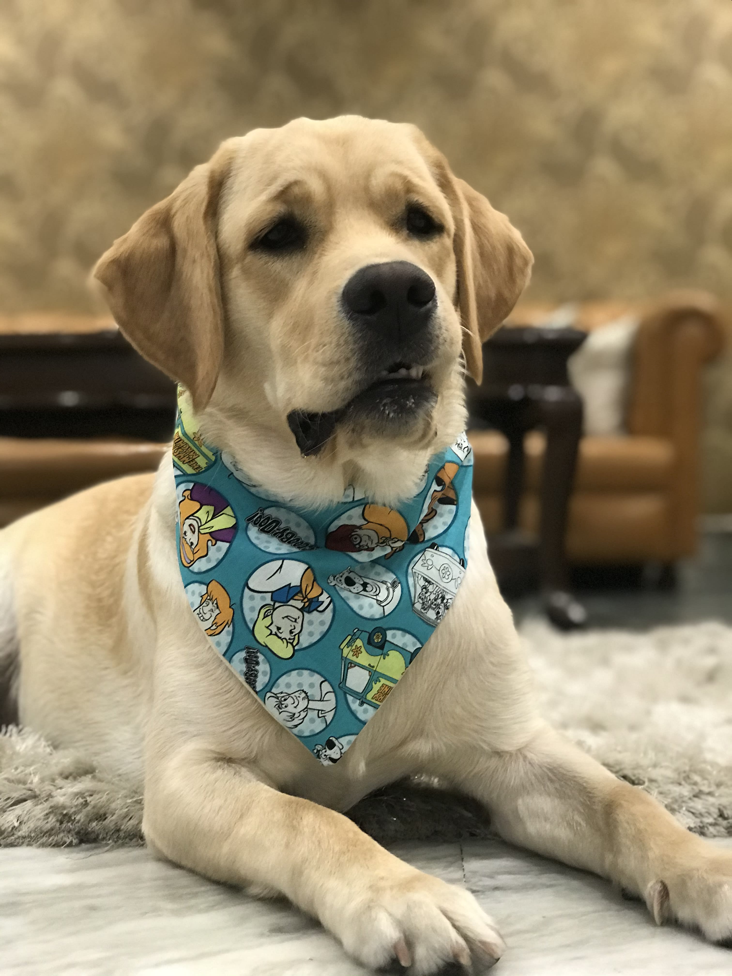 Scooby Style tie on Bandana image 3