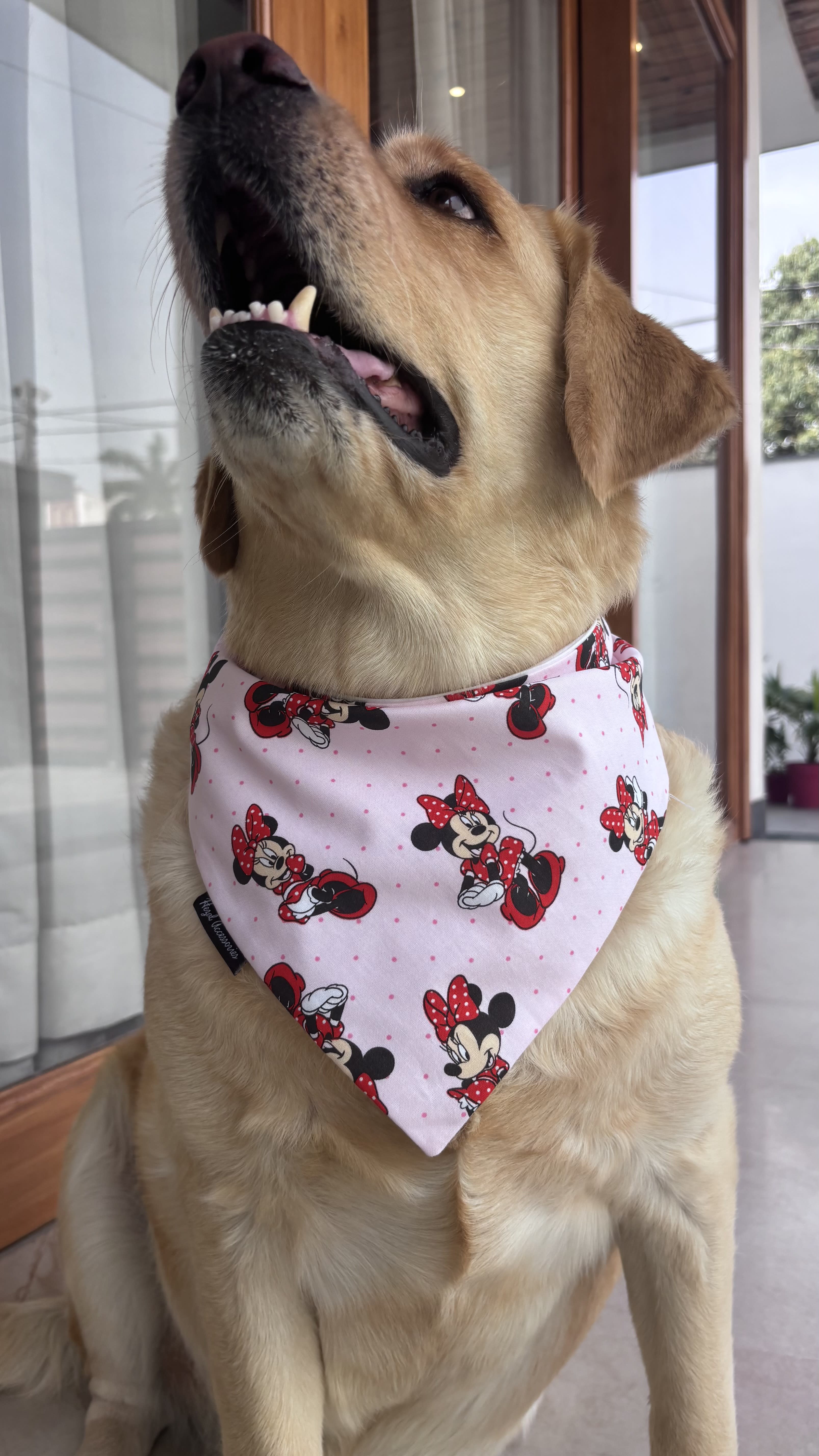 Minnie Magic Tie-On Bandana image 3