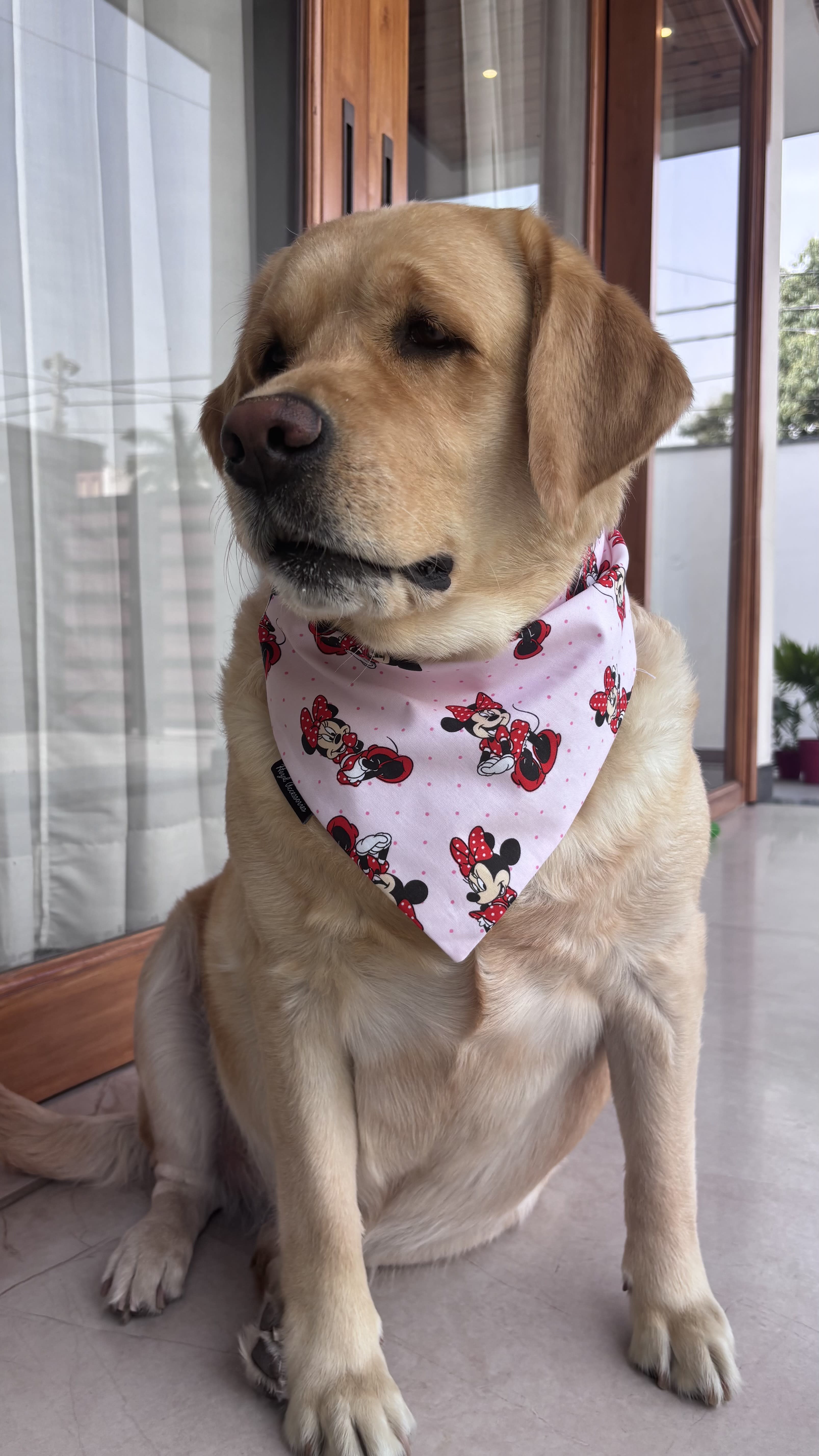 Minnie Magic Tie-On Bandana image 4