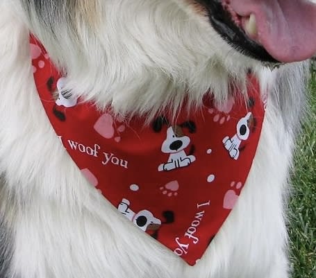I Woof You Tie-On Bandana  image 4