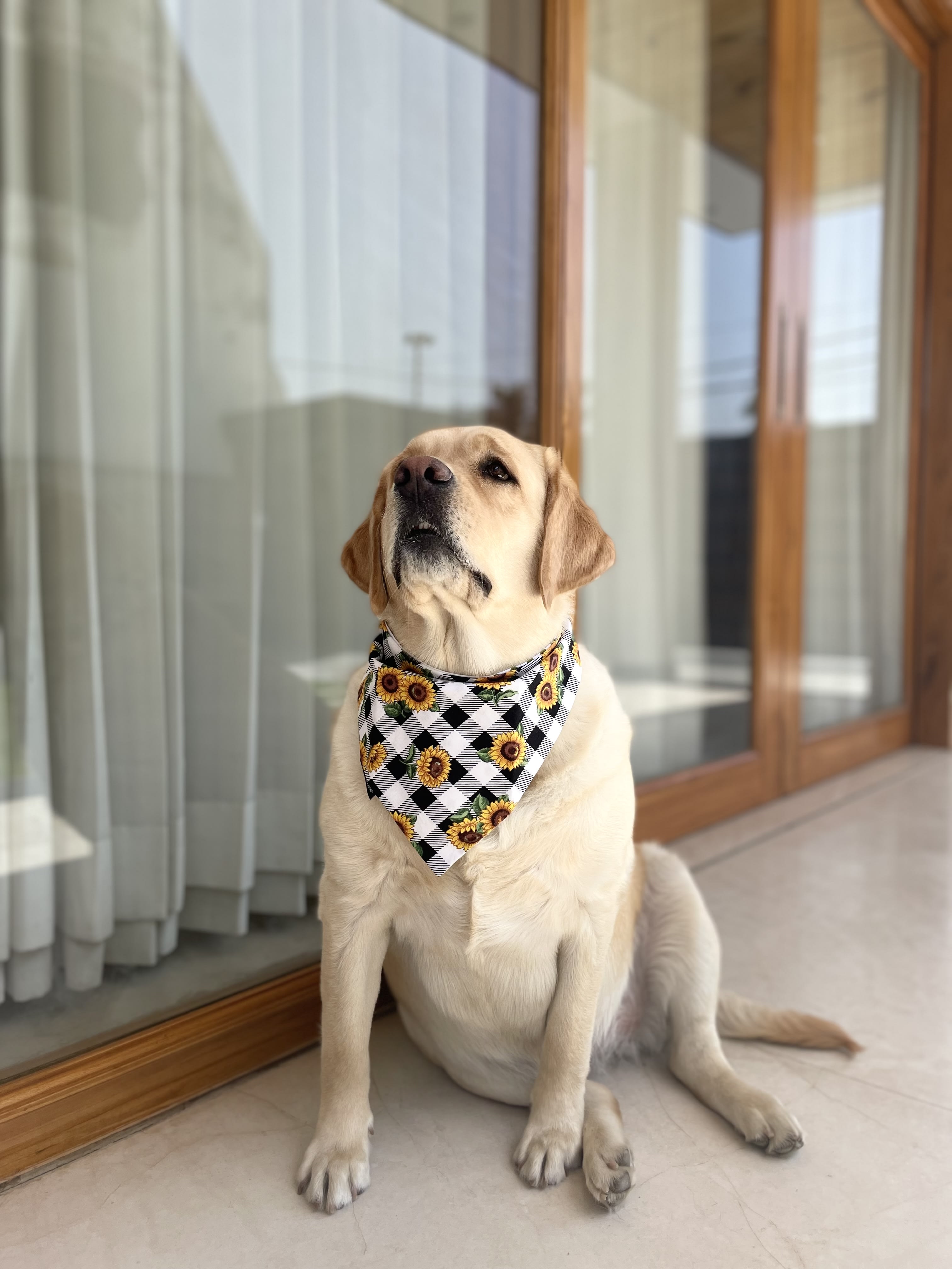 Sunny Vibes Sunflower tie on Bandana image 3