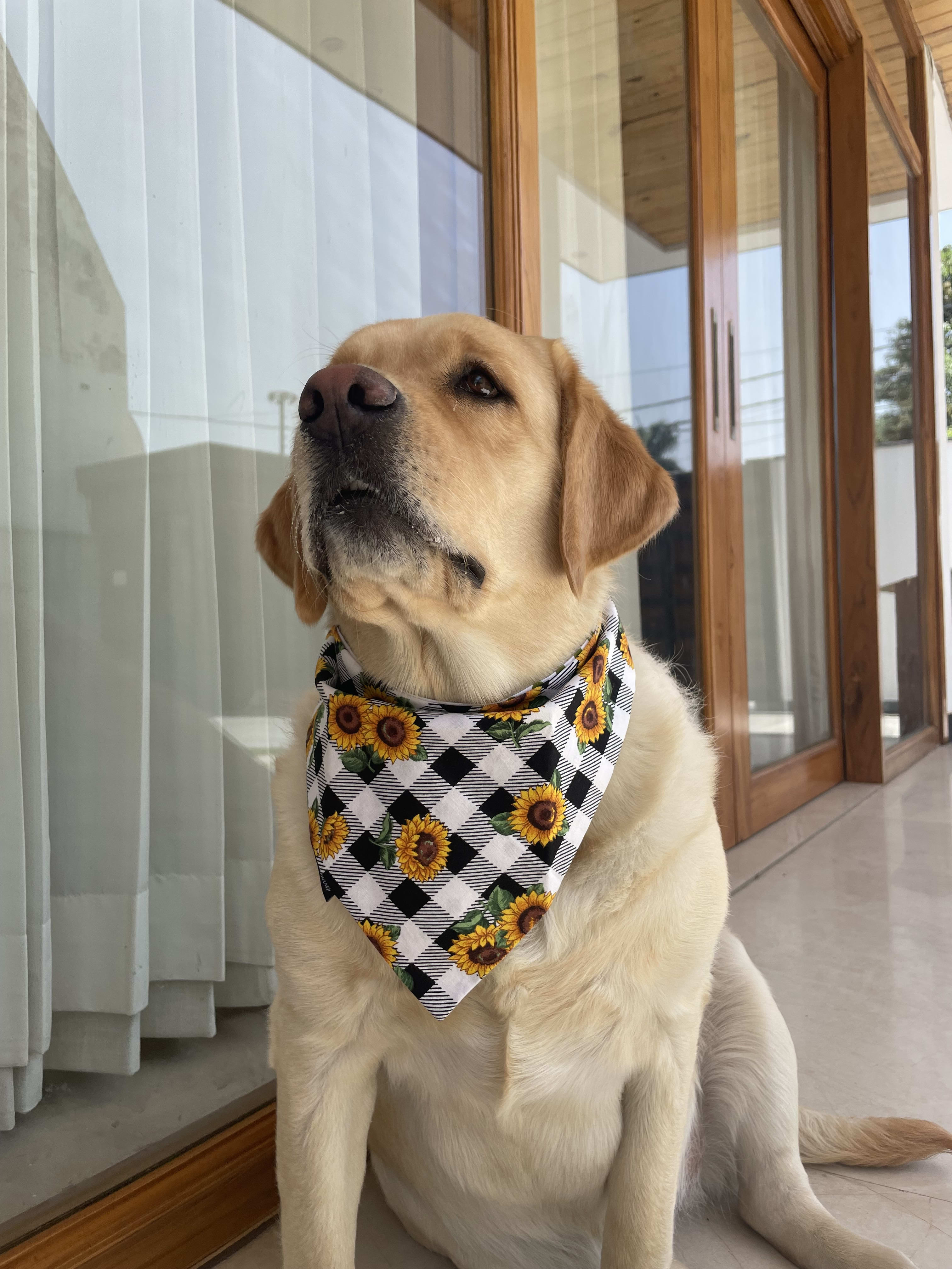 Sunny Vibes Sunflower tie on Bandana image 2