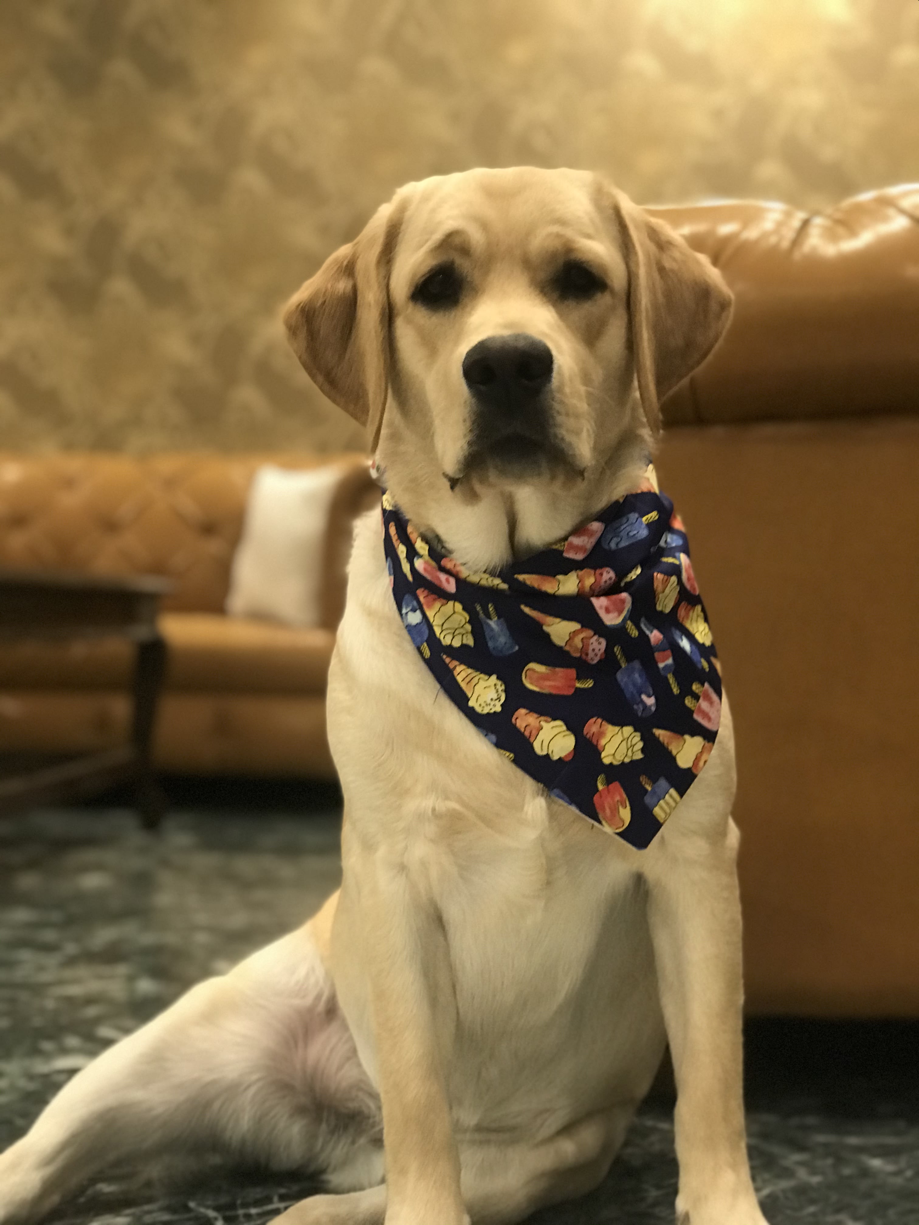 Sweet Treats tie on Bandana