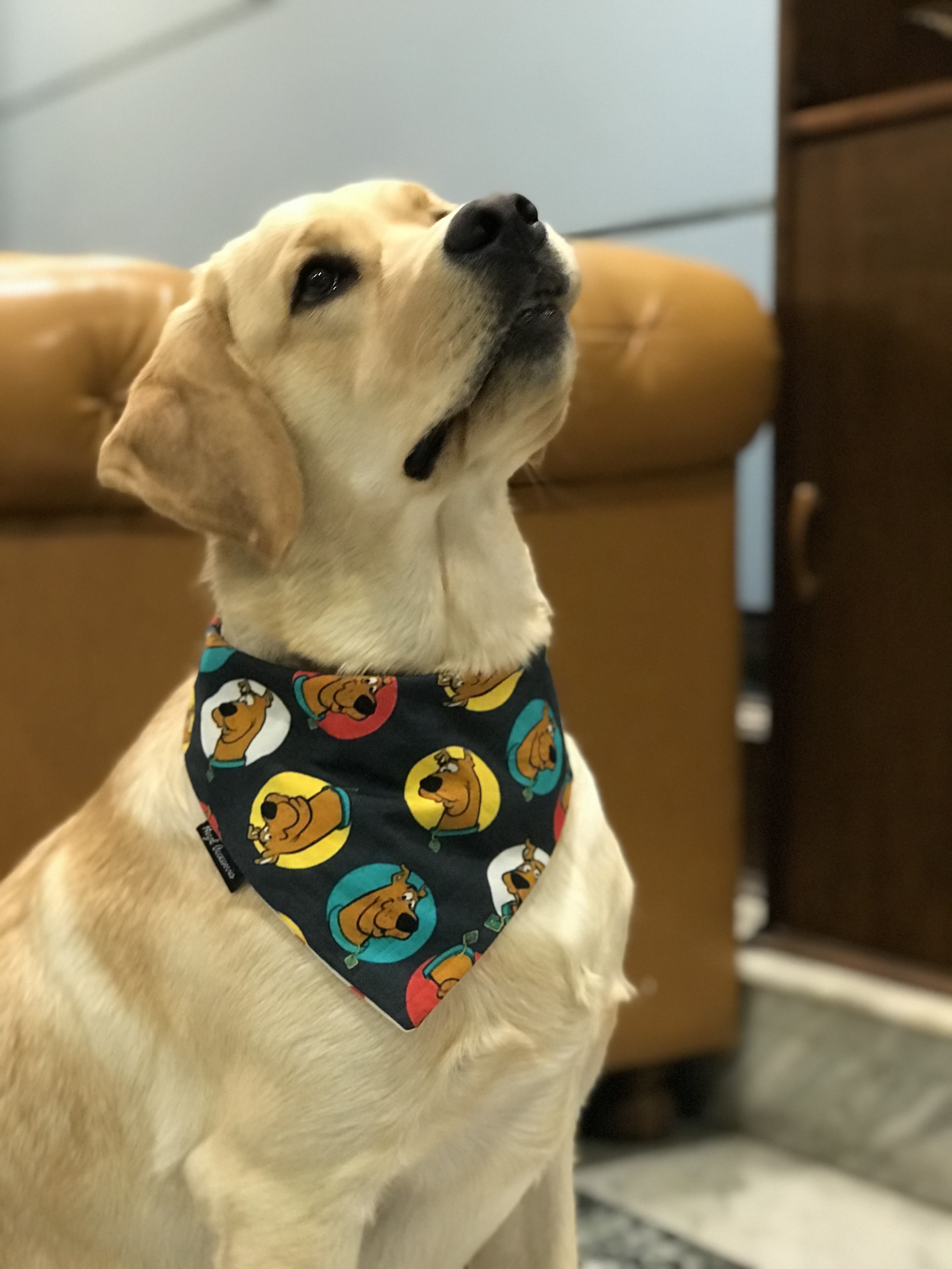 Scooby-Doo Fun tie on Bandana