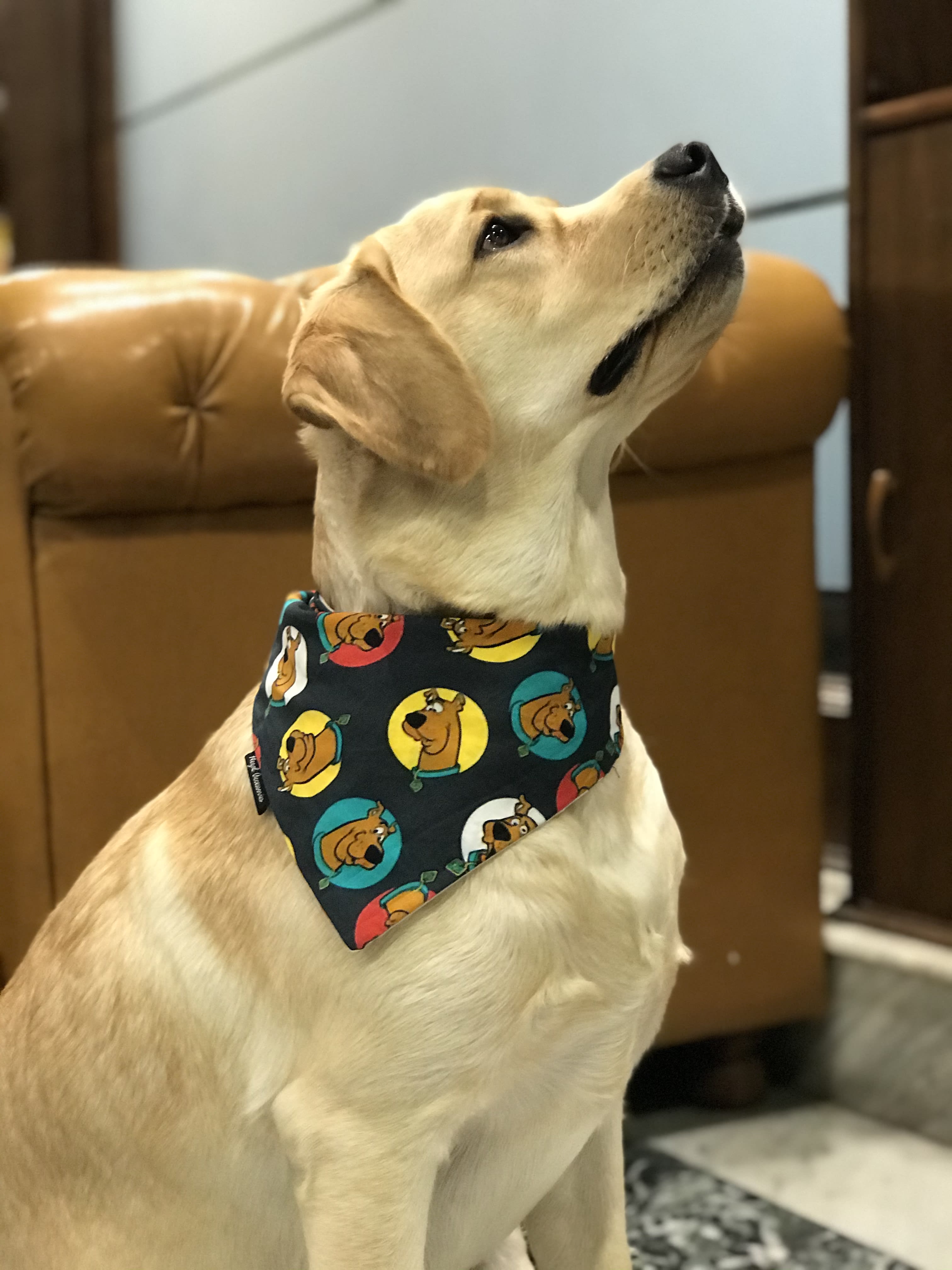 Scooby-Doo Fun tie on Bandana image 2