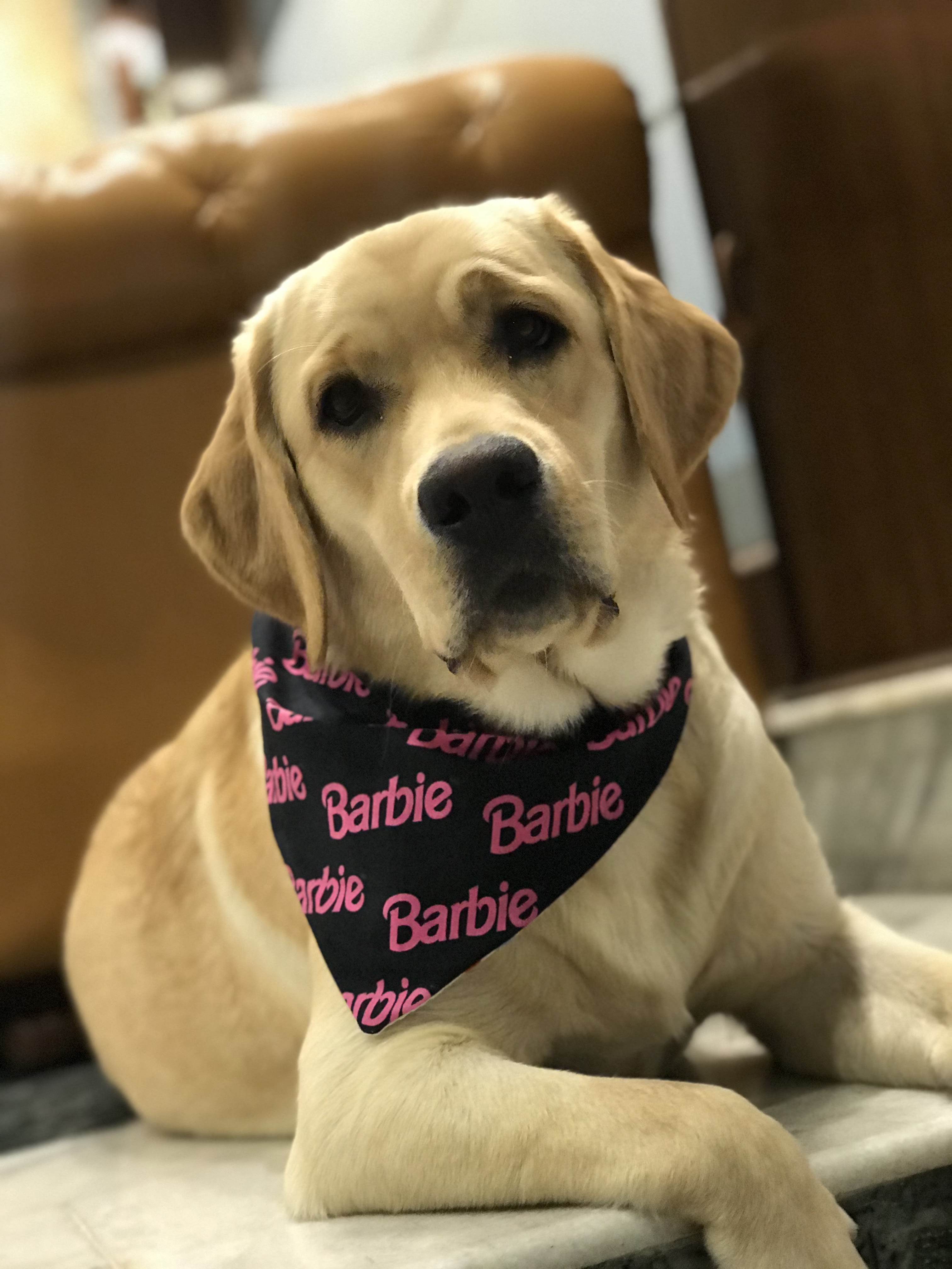 Barbie Glam tie on Bandana  image 2