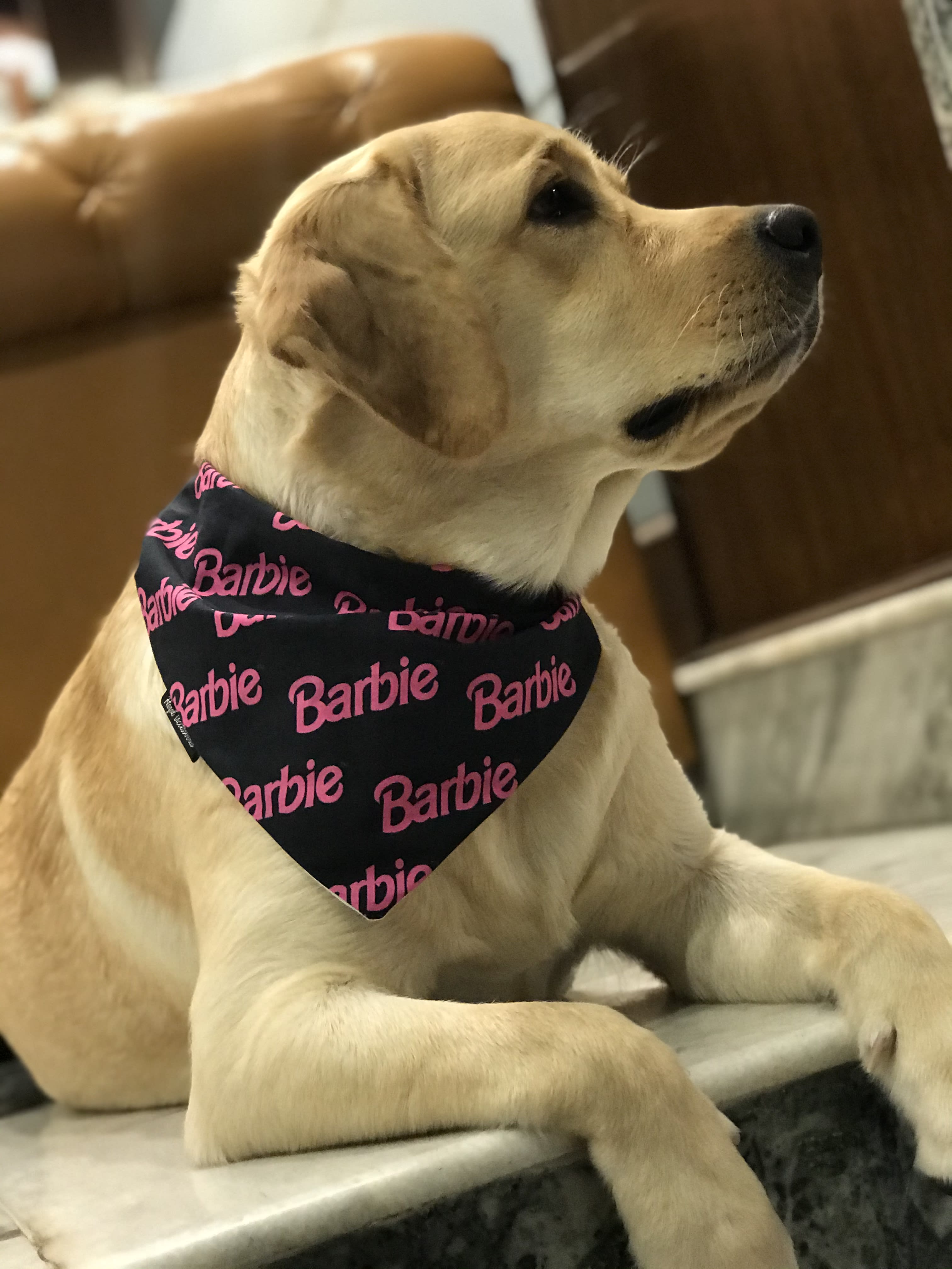 Barbie Glam tie on Bandana 