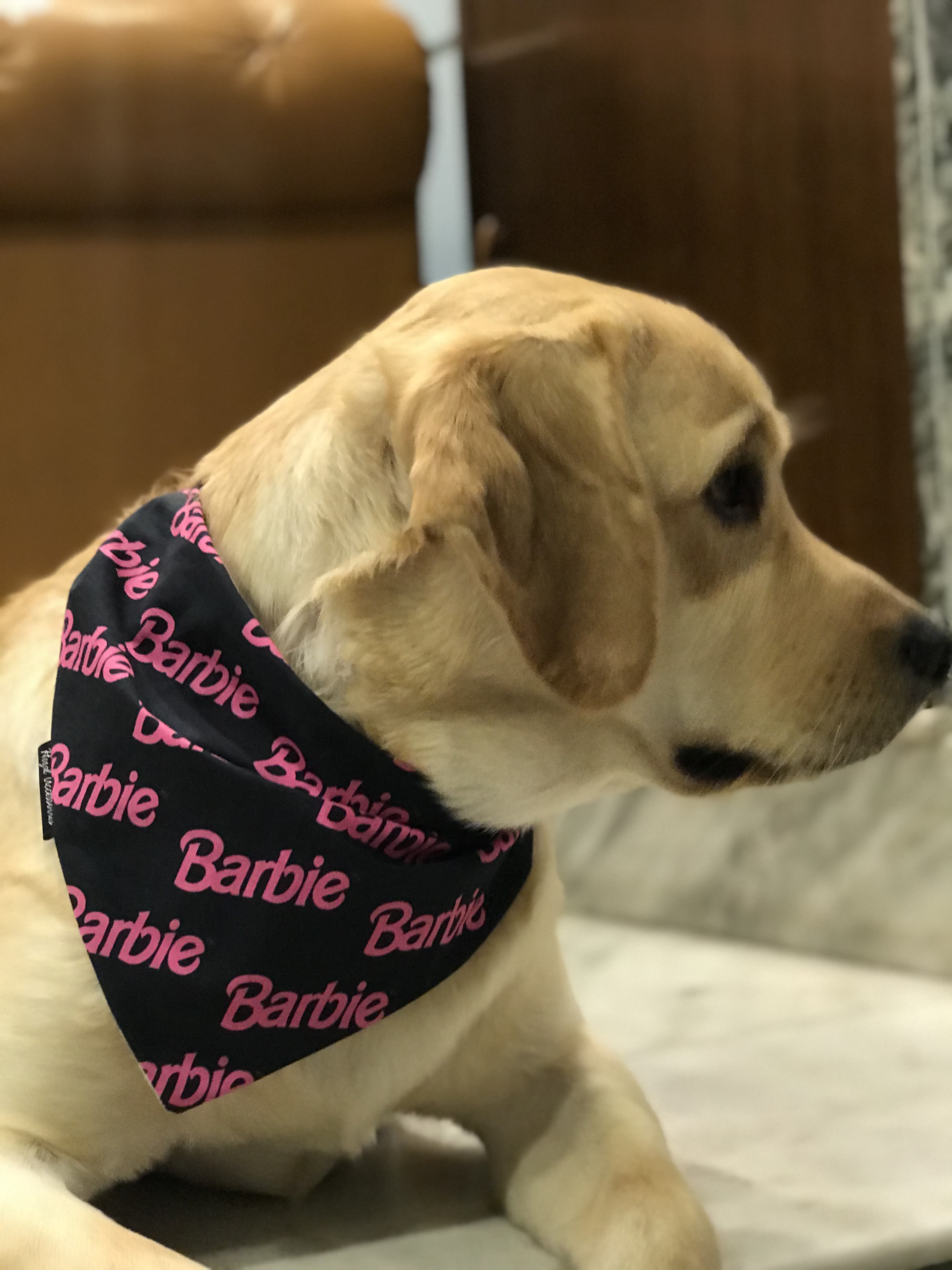 Barbie Glam tie on Bandana  image 4