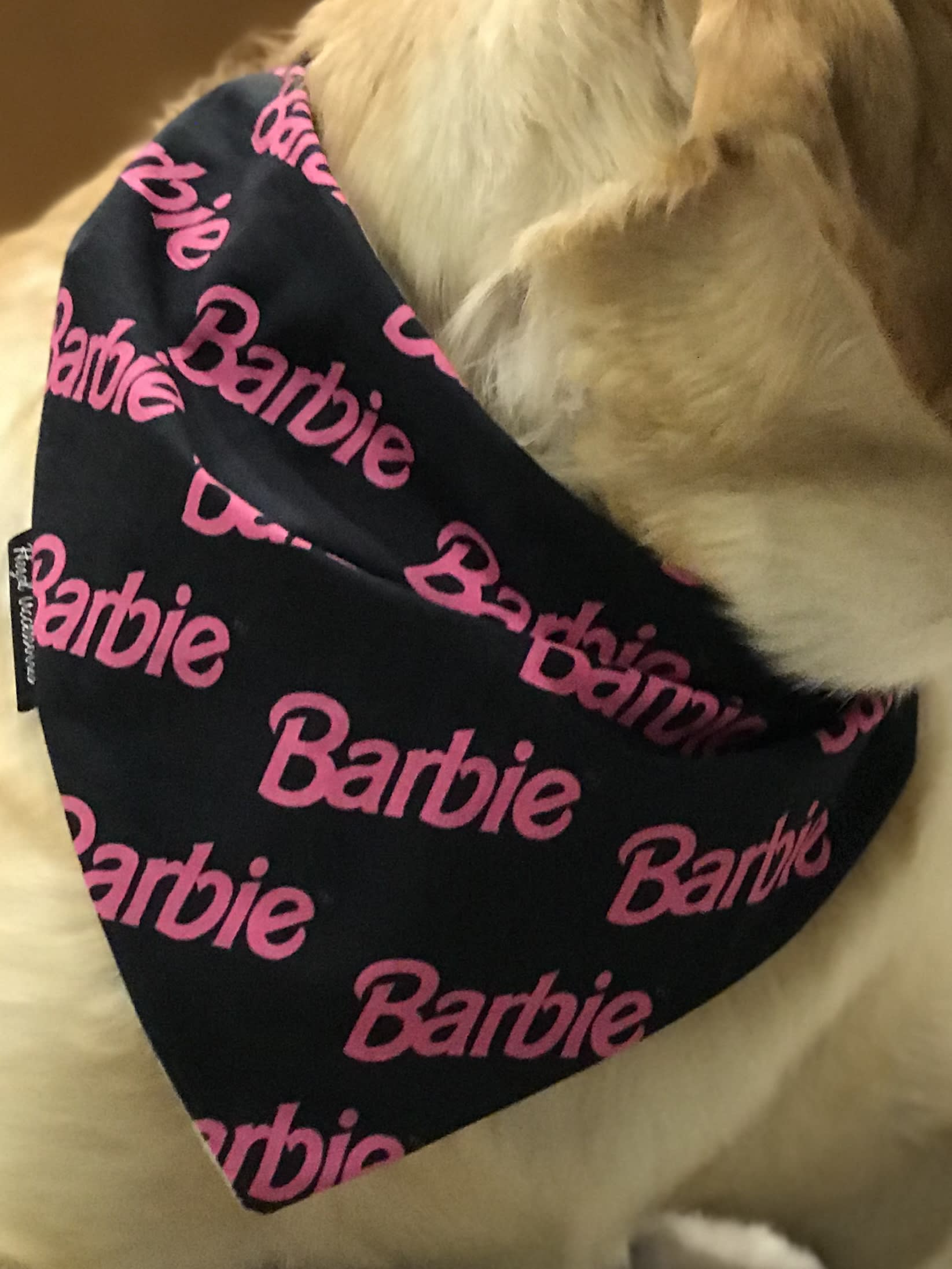Barbie Glam tie on Bandana  image 5