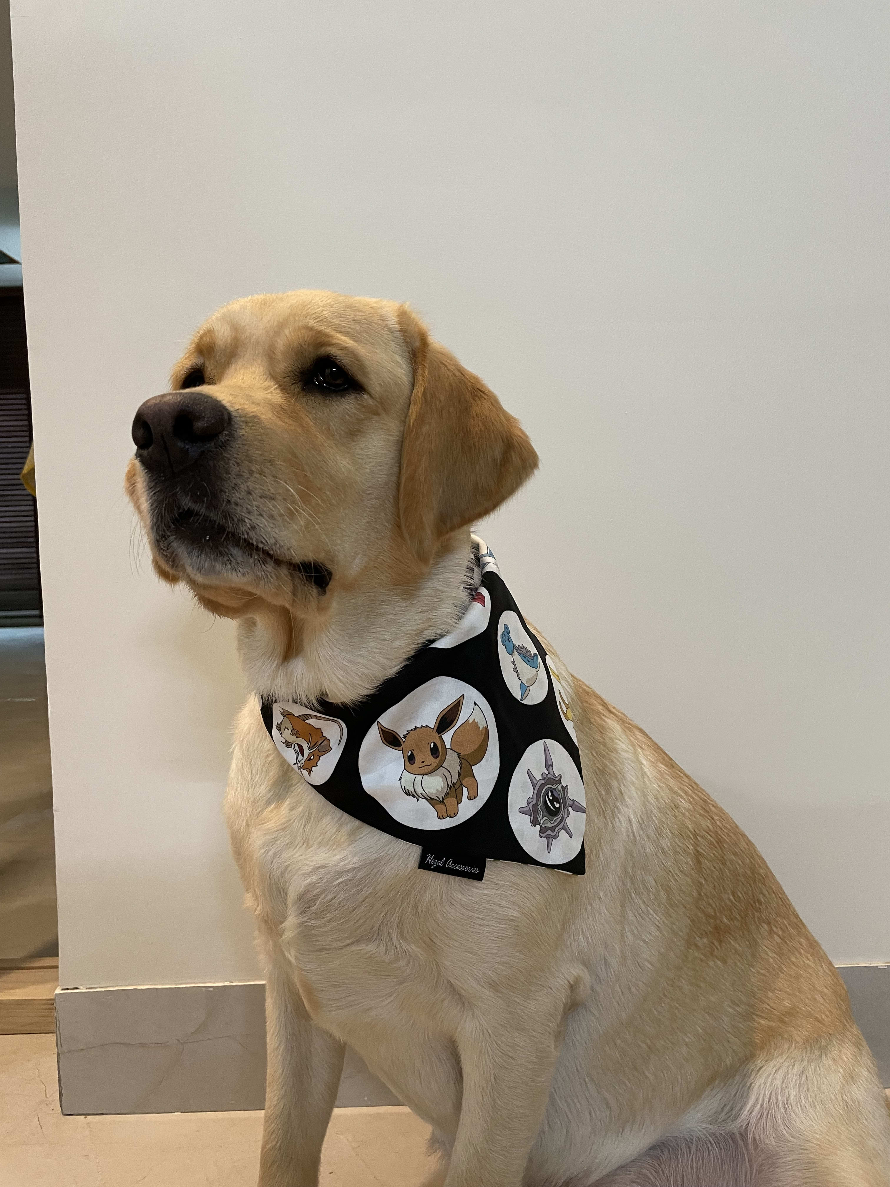 Pokémon Pals tie on Bandana  image 4