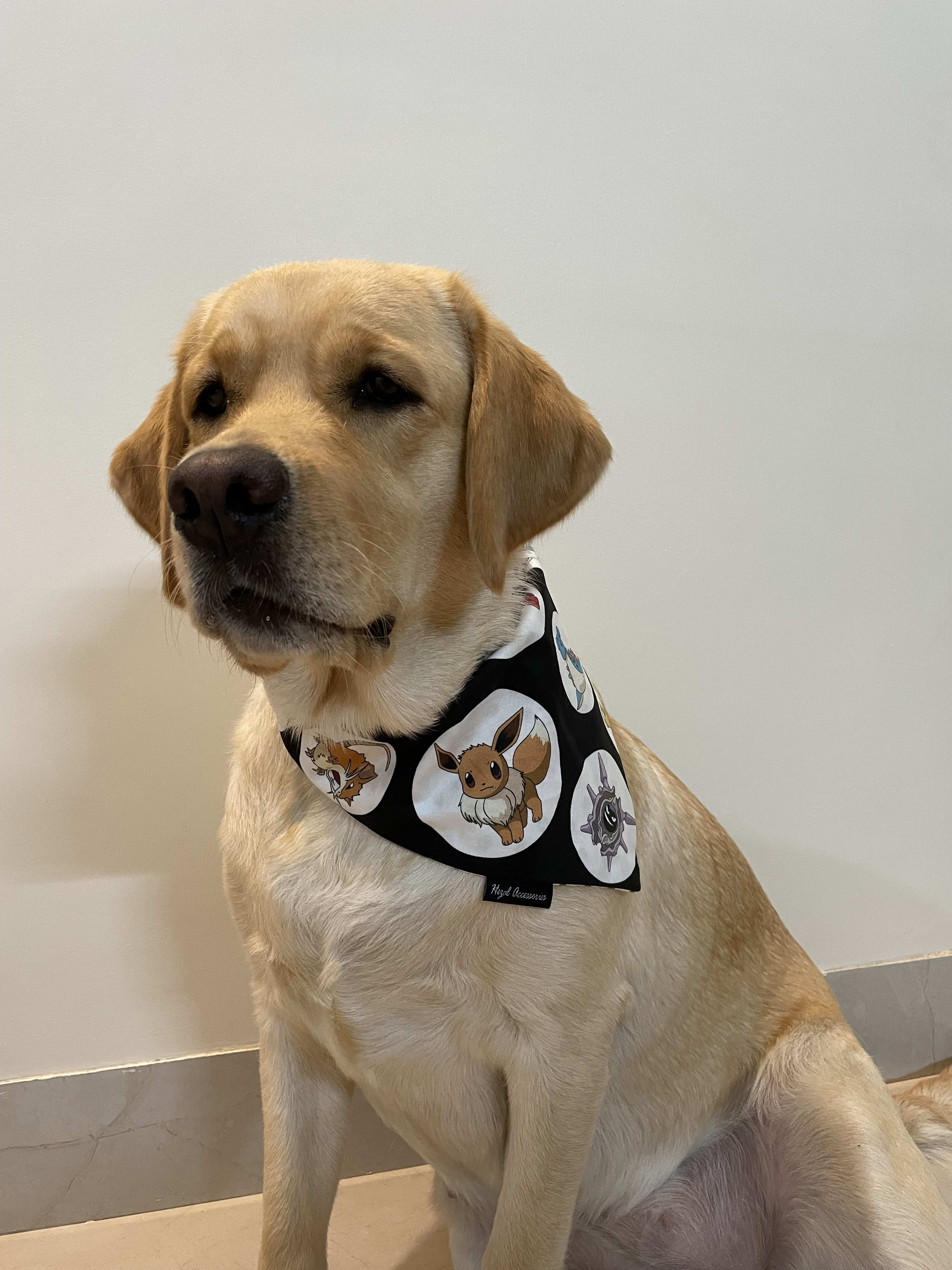 Pokémon Pals tie on Bandana 