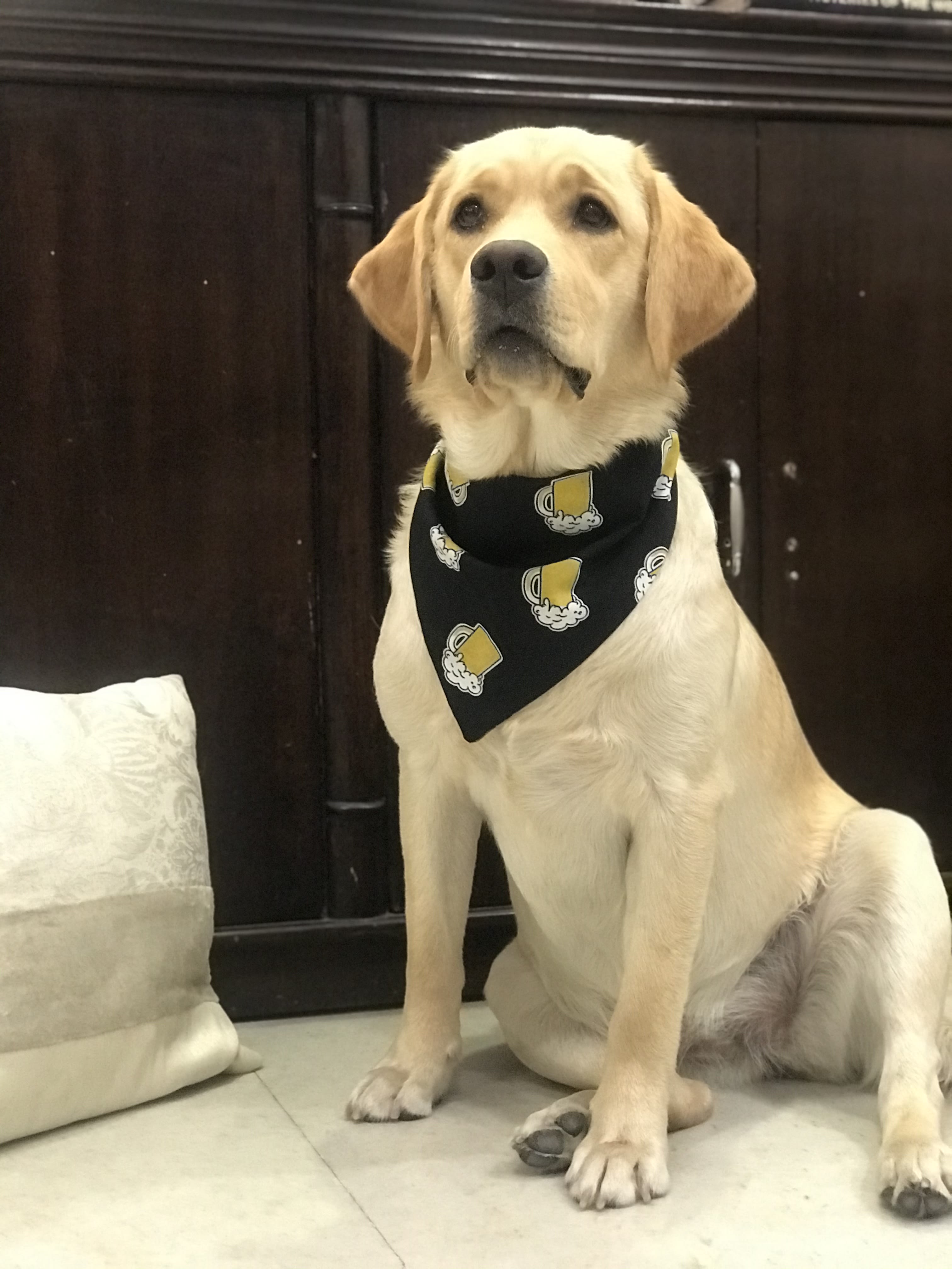 Beer Buddy tie on Bandana  image 2