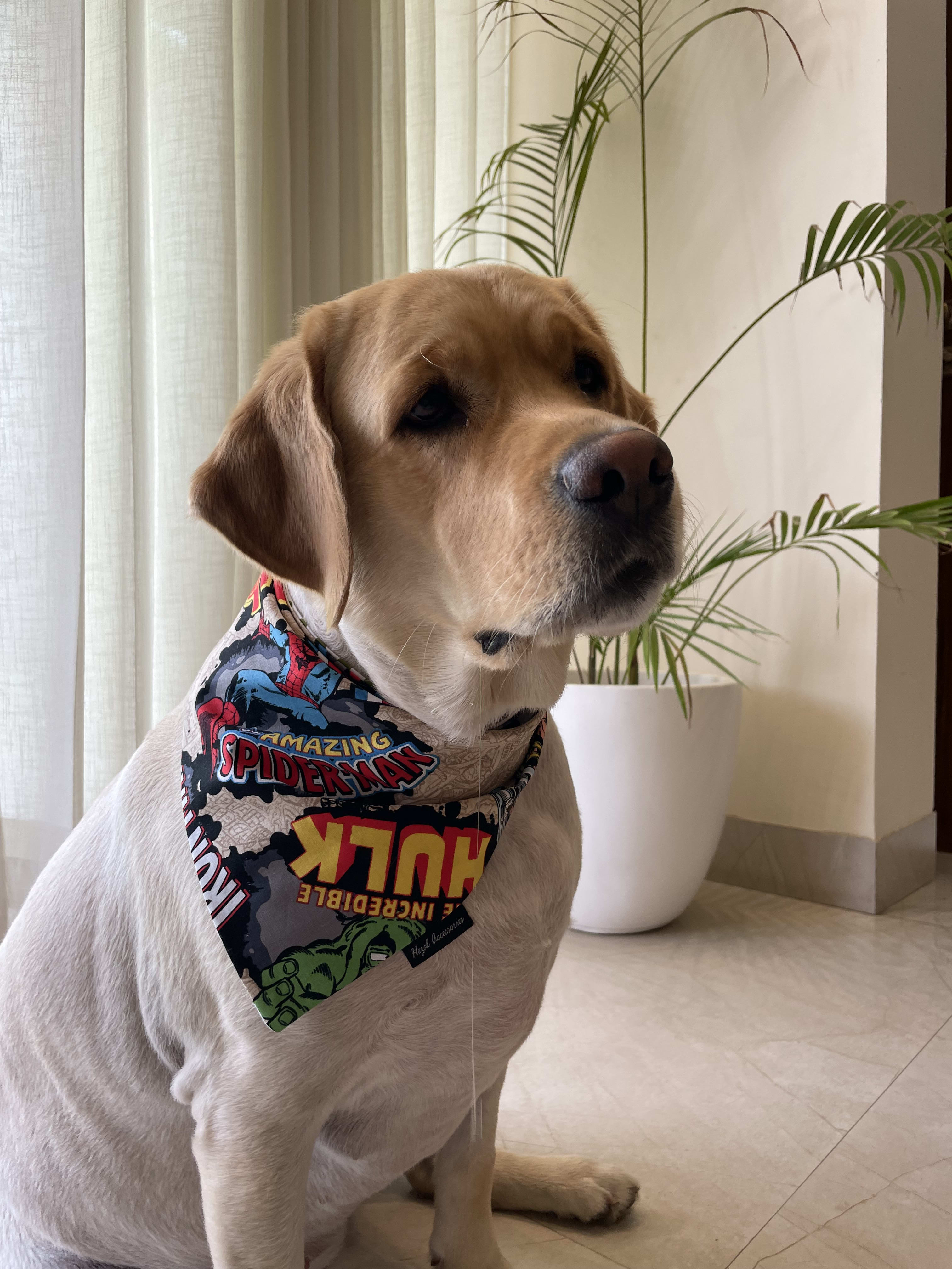 Marvel tie on bandana  image 3
