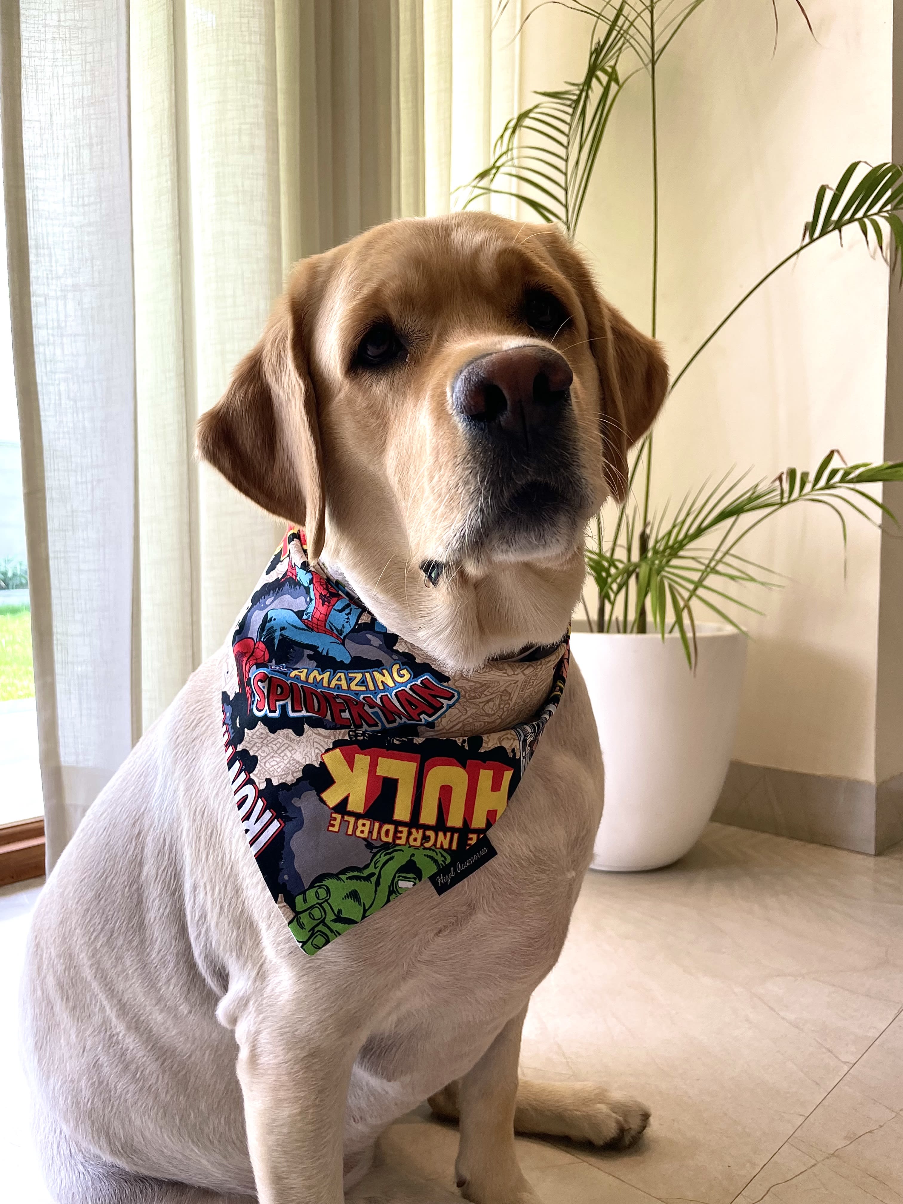 Marvel tie on bandana  image 2