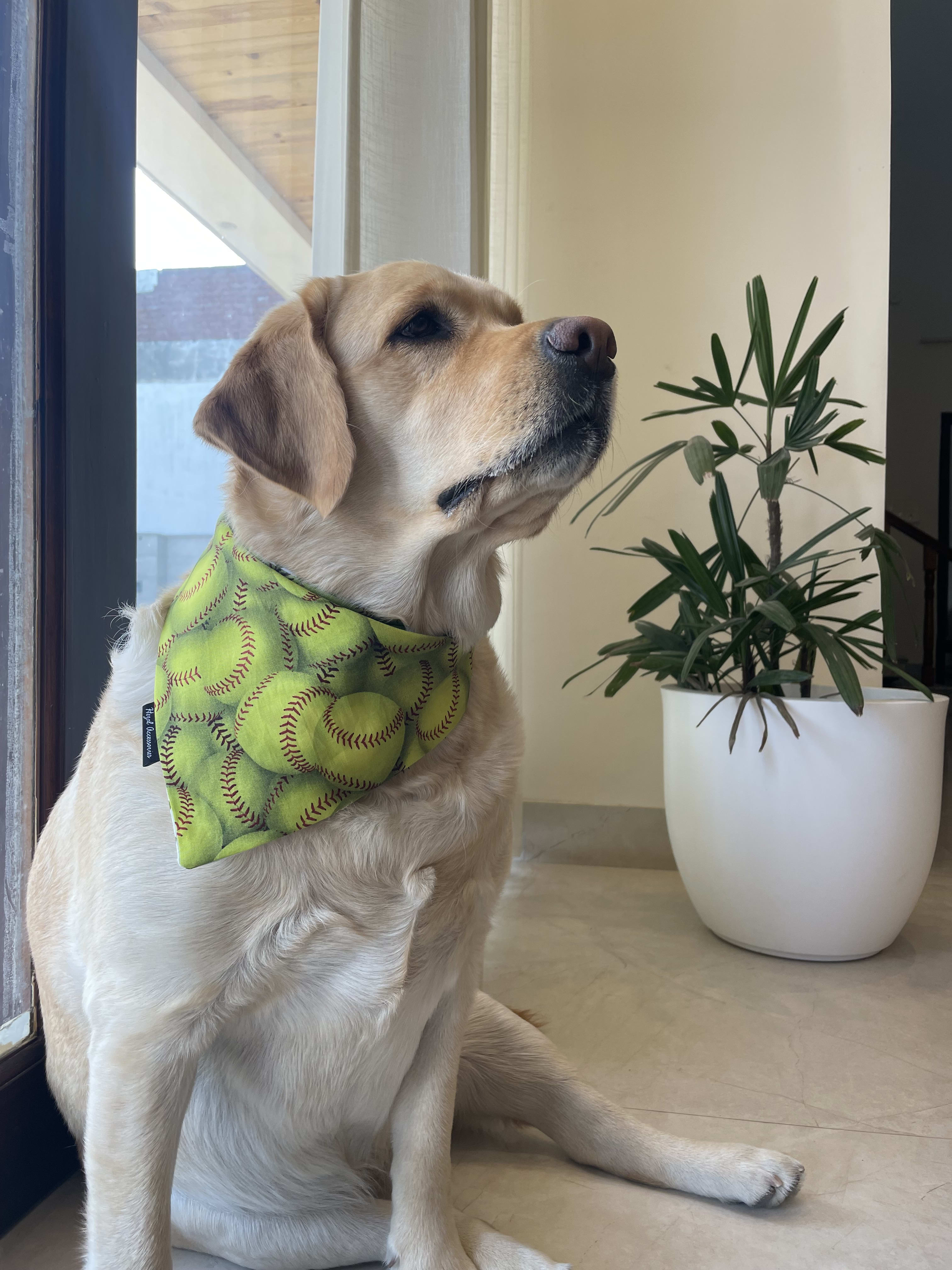 Grand Slam tie on Bandana image 4