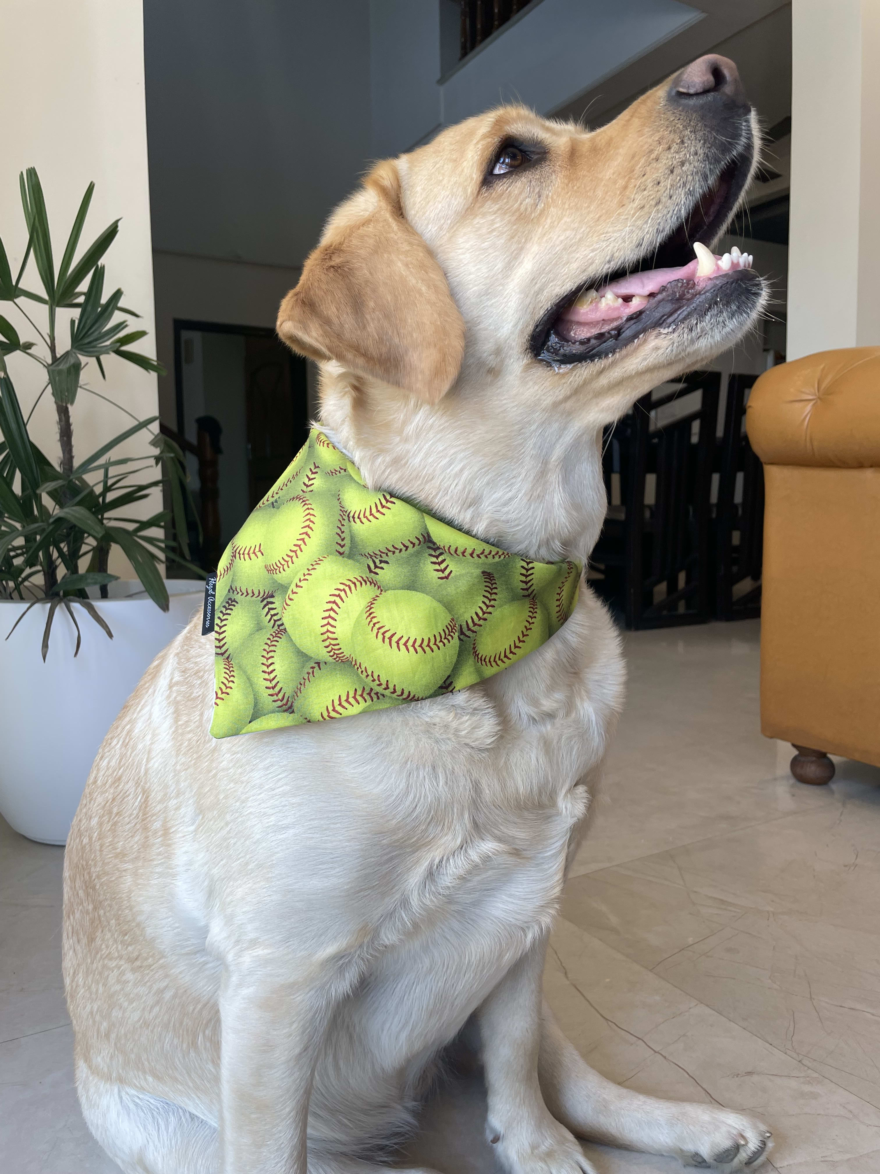 Grand Slam tie on Bandana image 3