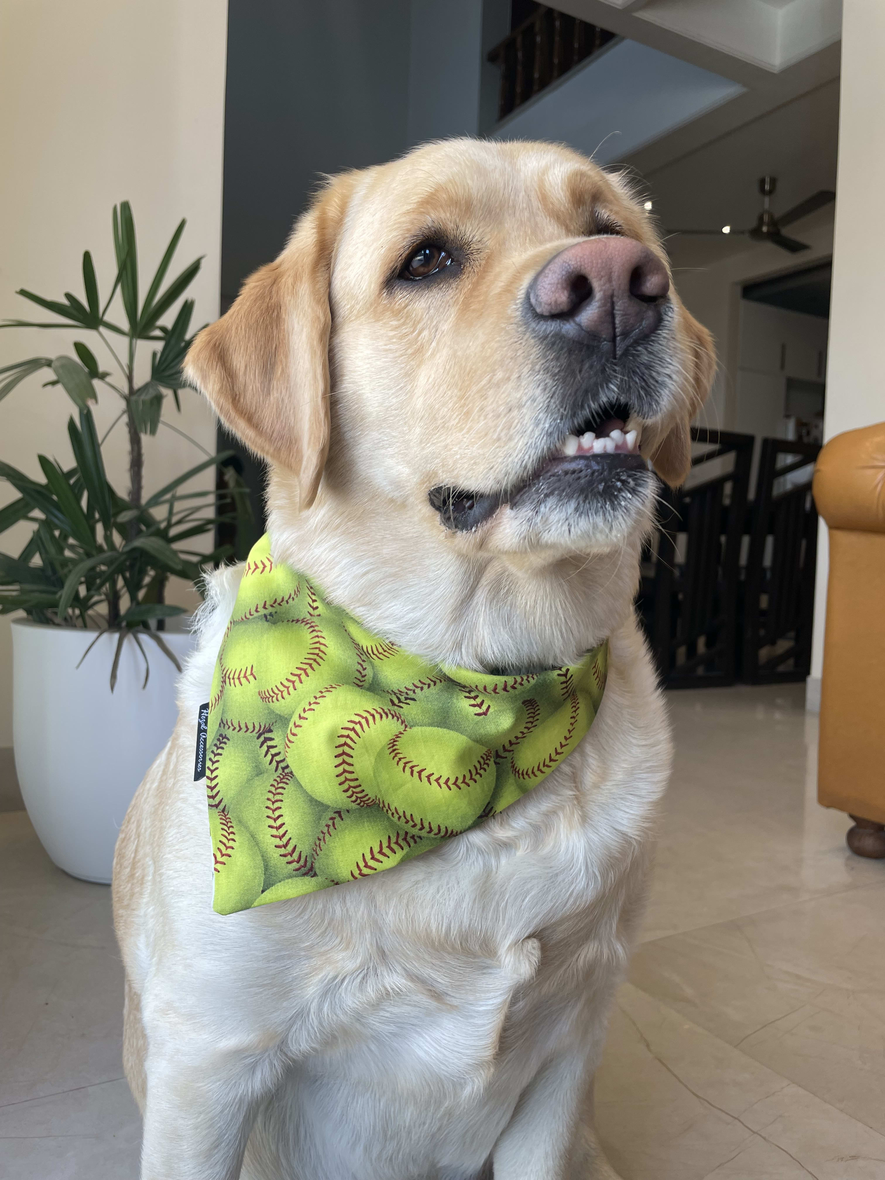Grand Slam tie on Bandana image 2