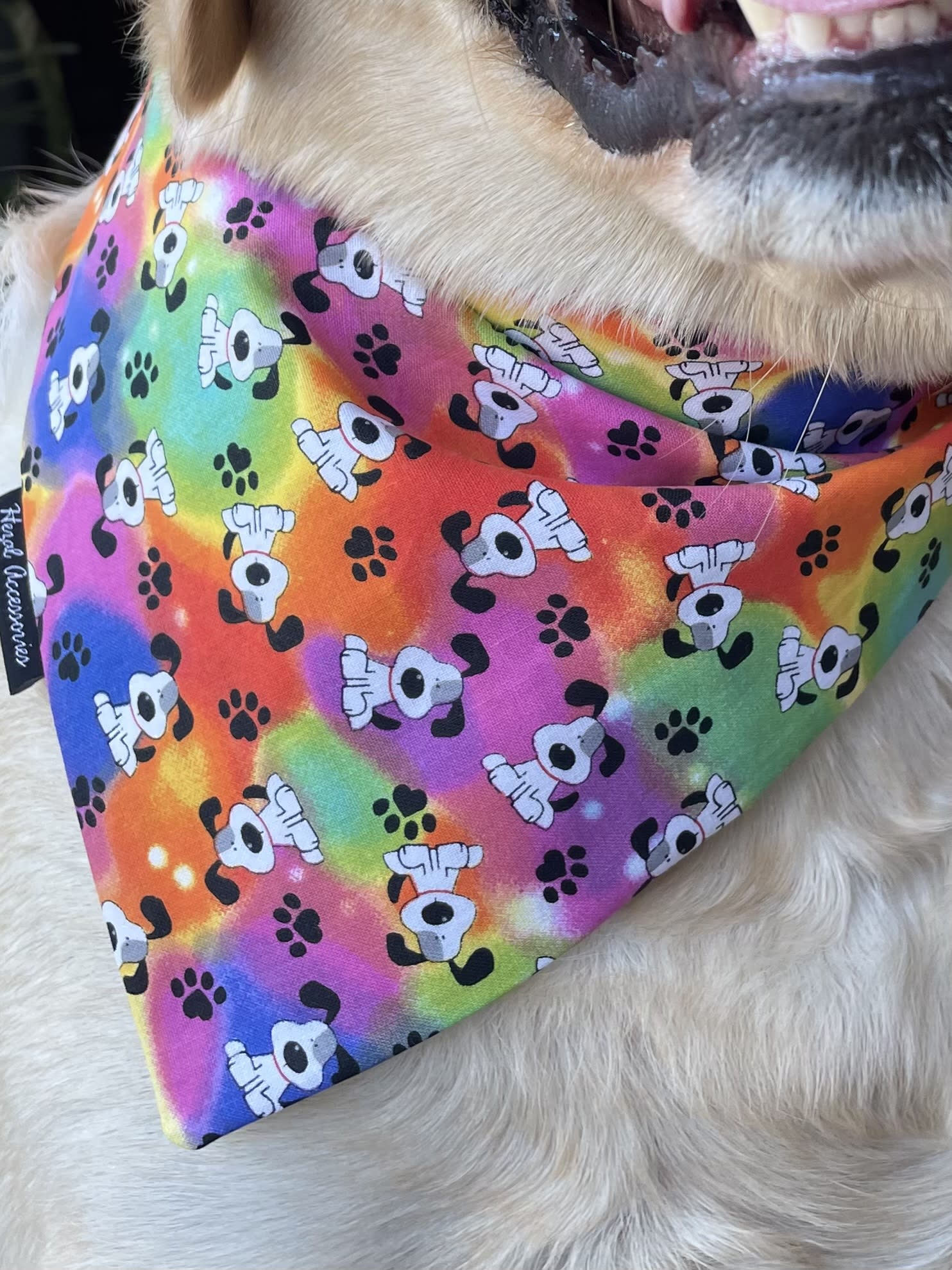 Pawsitive Vibes tie on Bandana  image 4