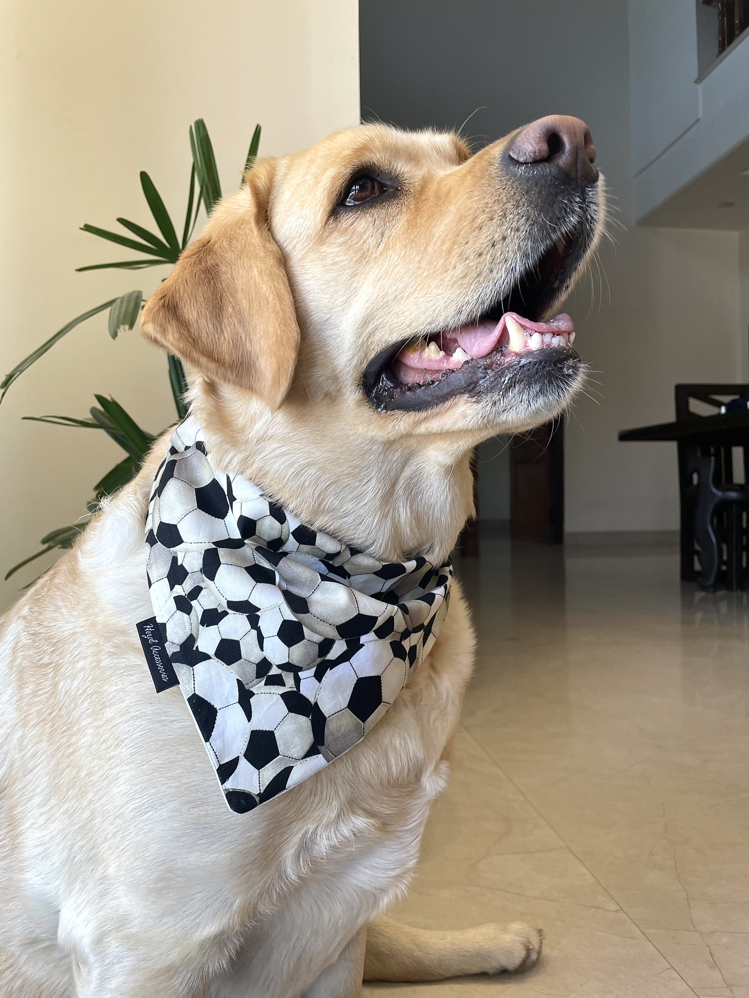Goal Getter tie on Bandana  image 4