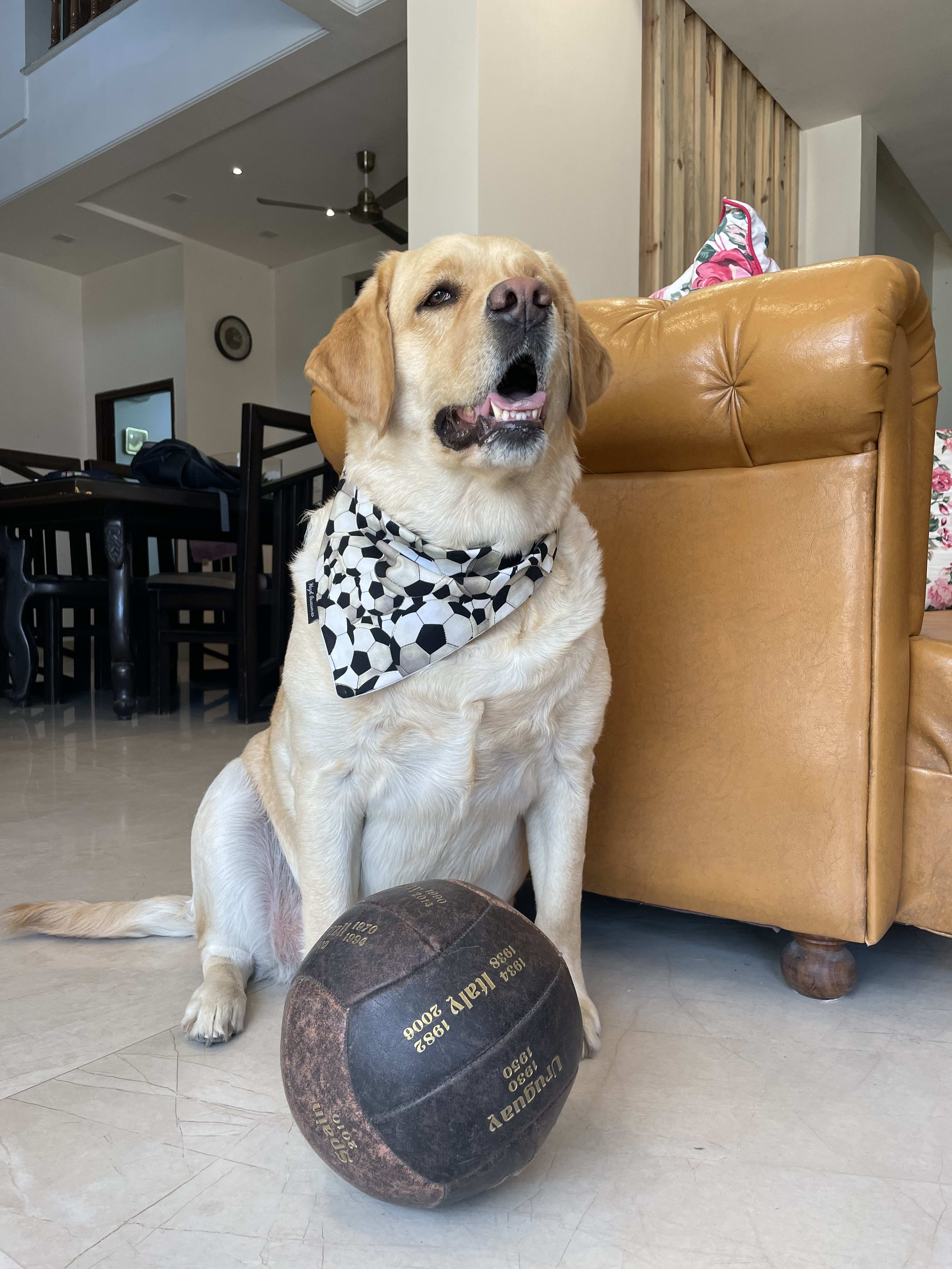 Goal Getter tie on Bandana  image 3