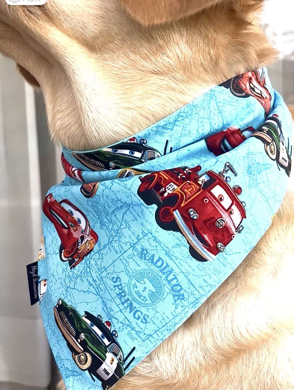 Fast & Furry-ous tie on Bandana  image 4