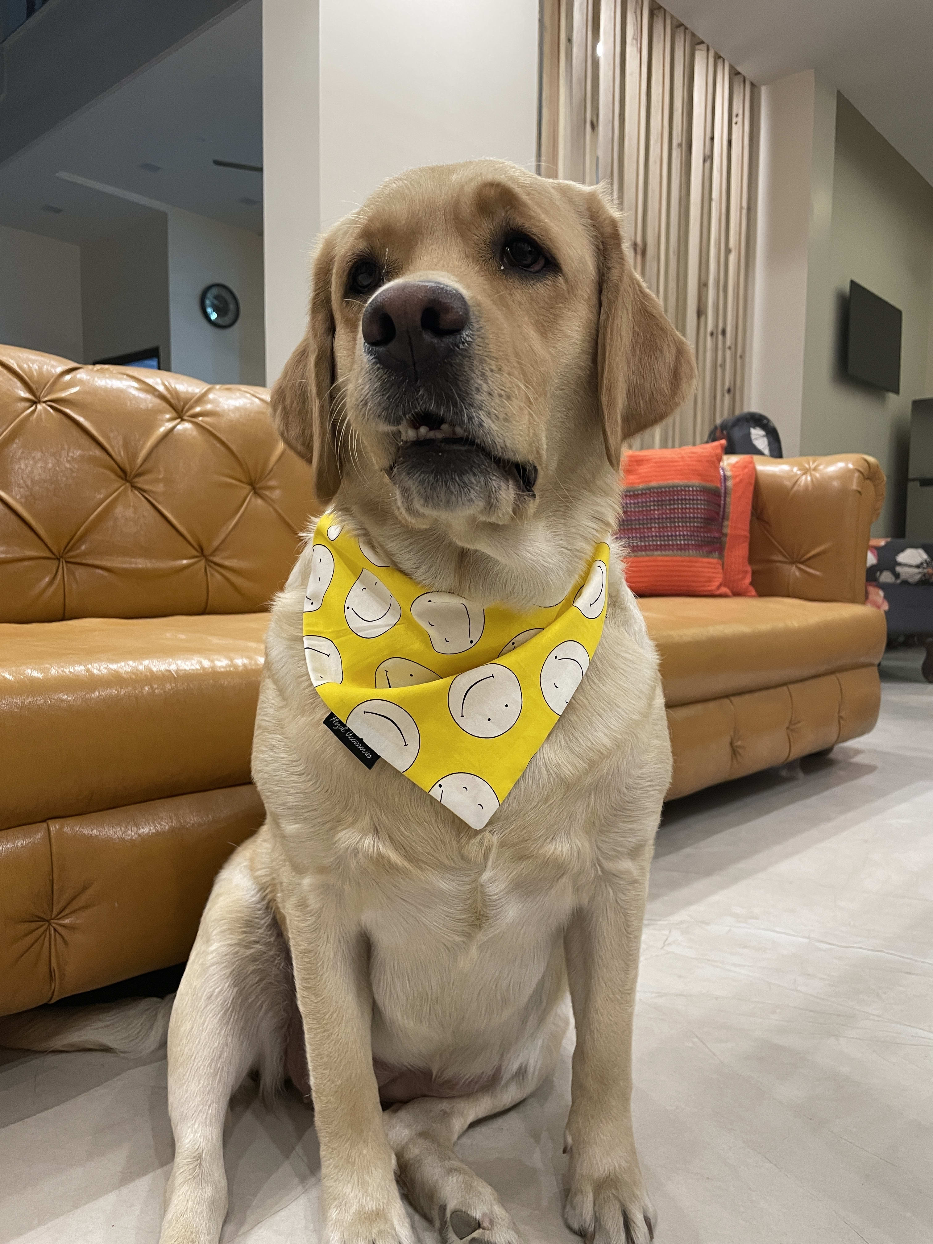 Good Vibes Only tie on Bandana image 3