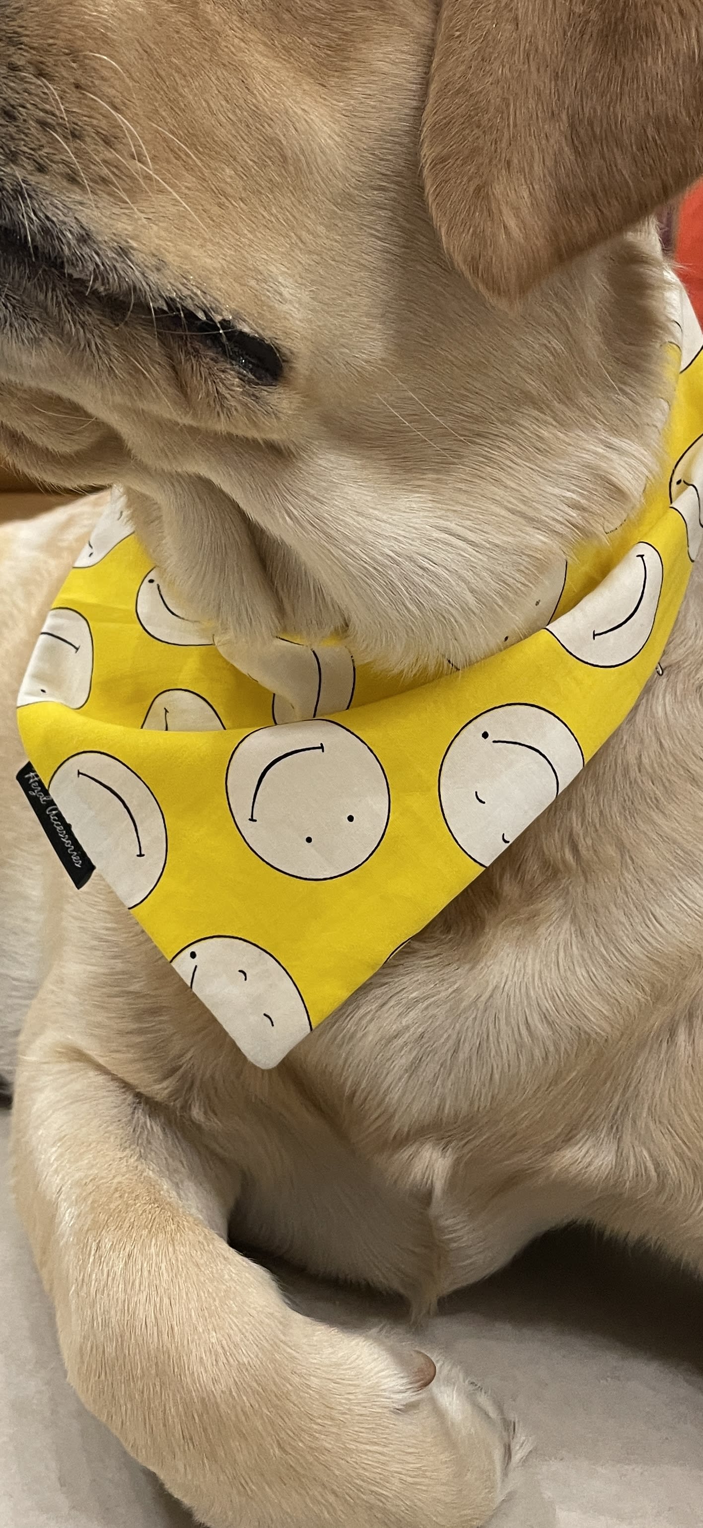 Good Vibes Only tie on Bandana image 4