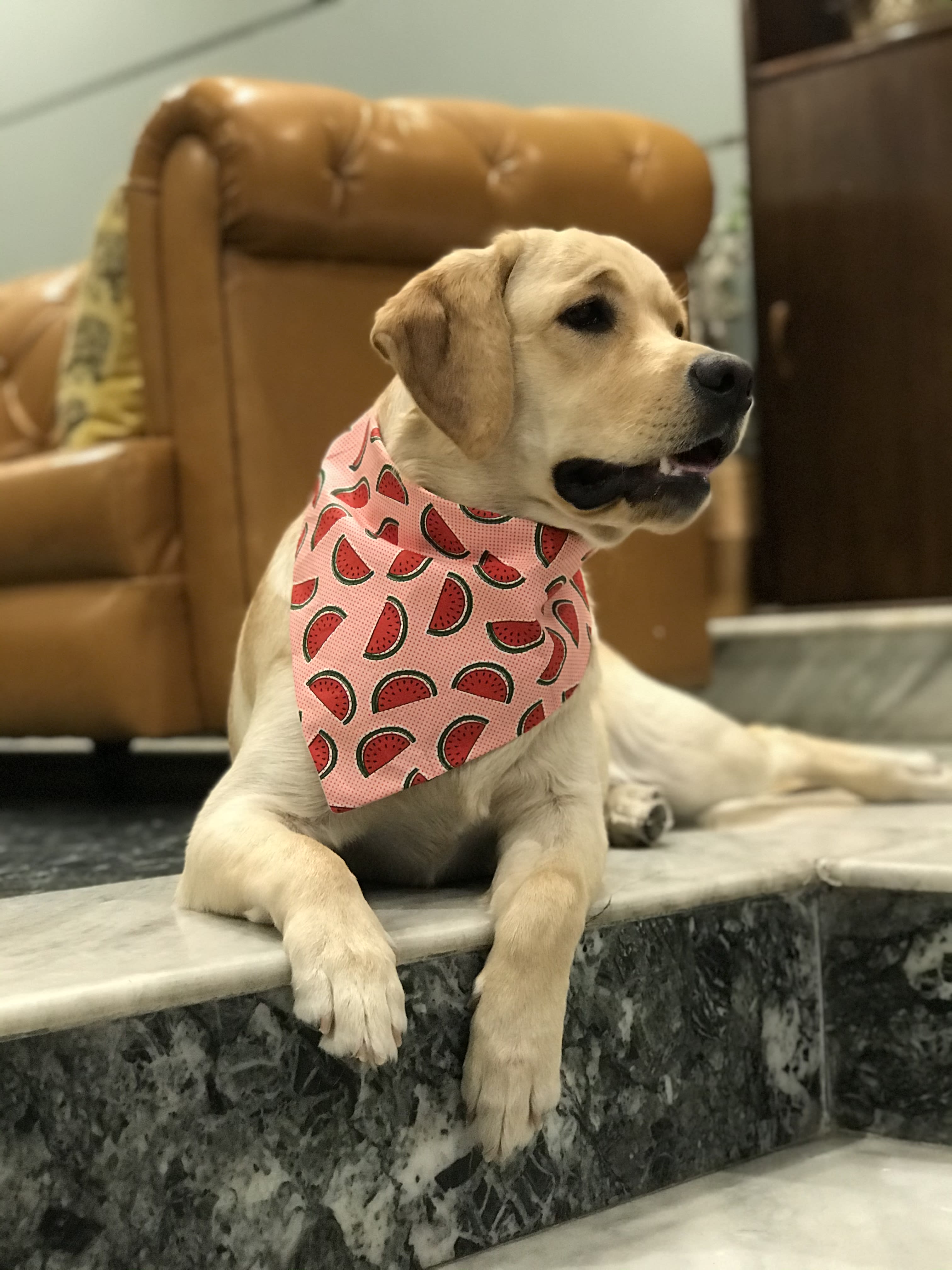 Melon Madness Tie on bandana  image 4