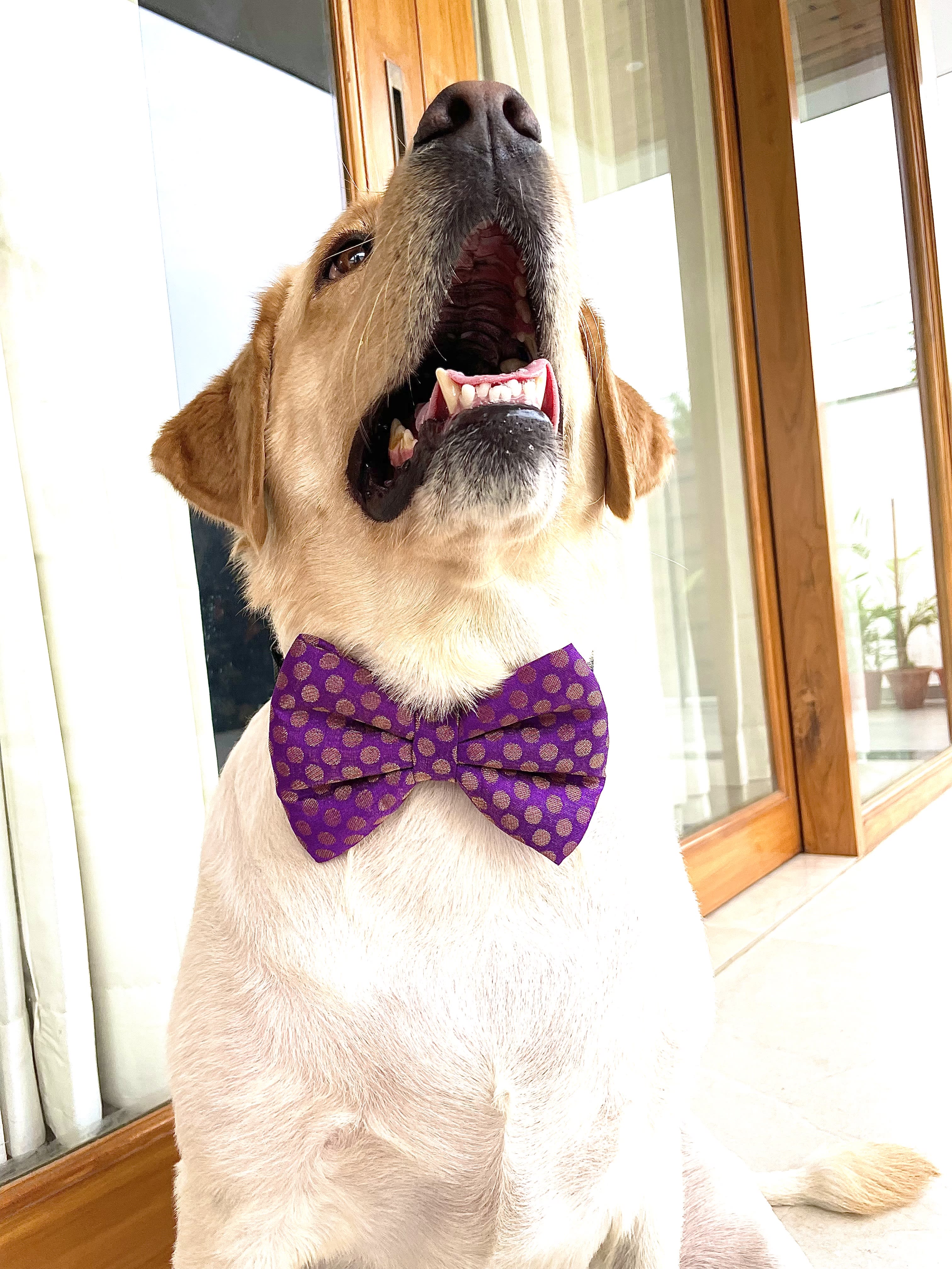 Royal plum silk bow tie  image 2
