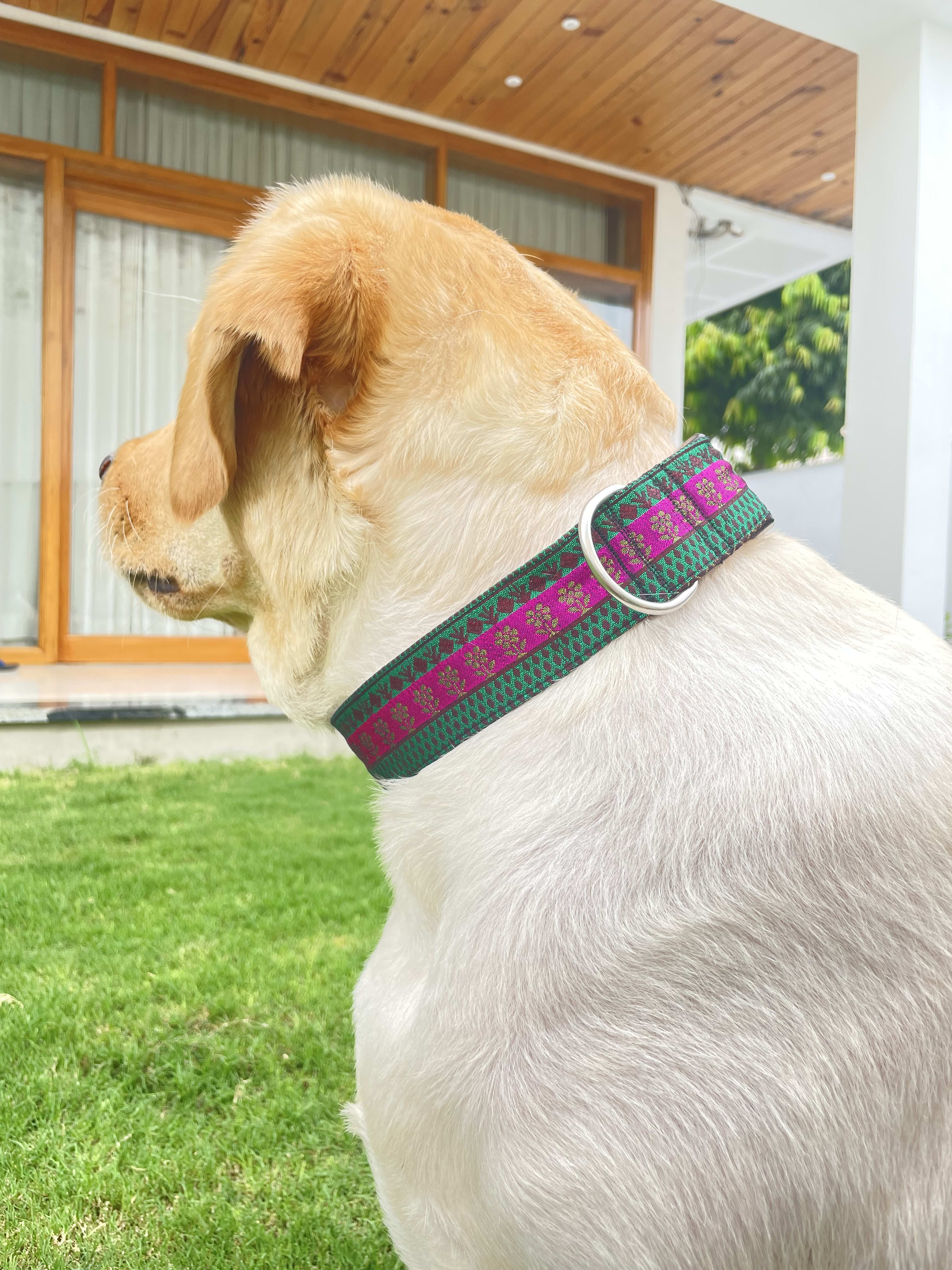 Regal glam Festive Collar 