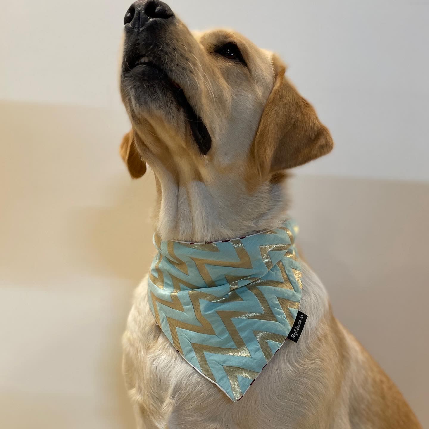 Aqua Royale tie on Bandana image 2