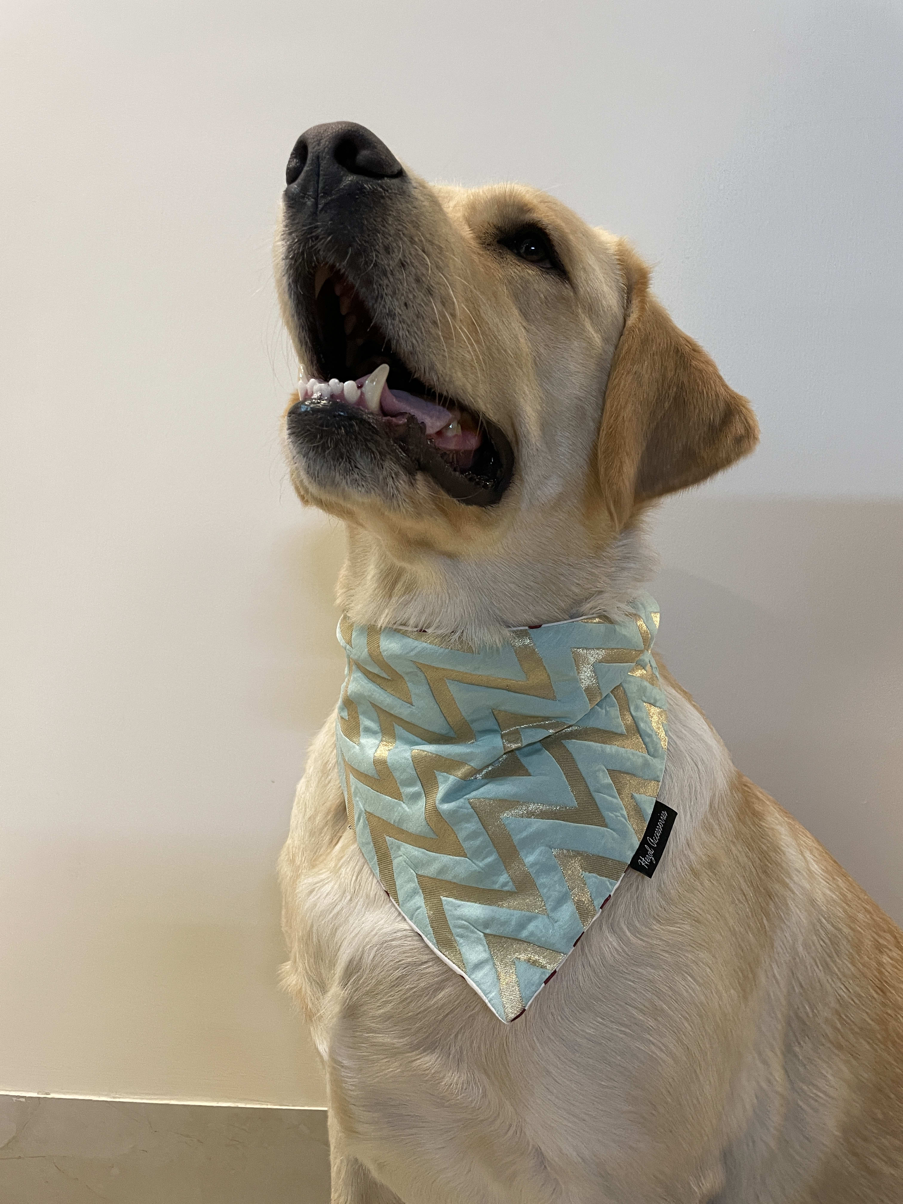 Aqua Royale tie on Bandana