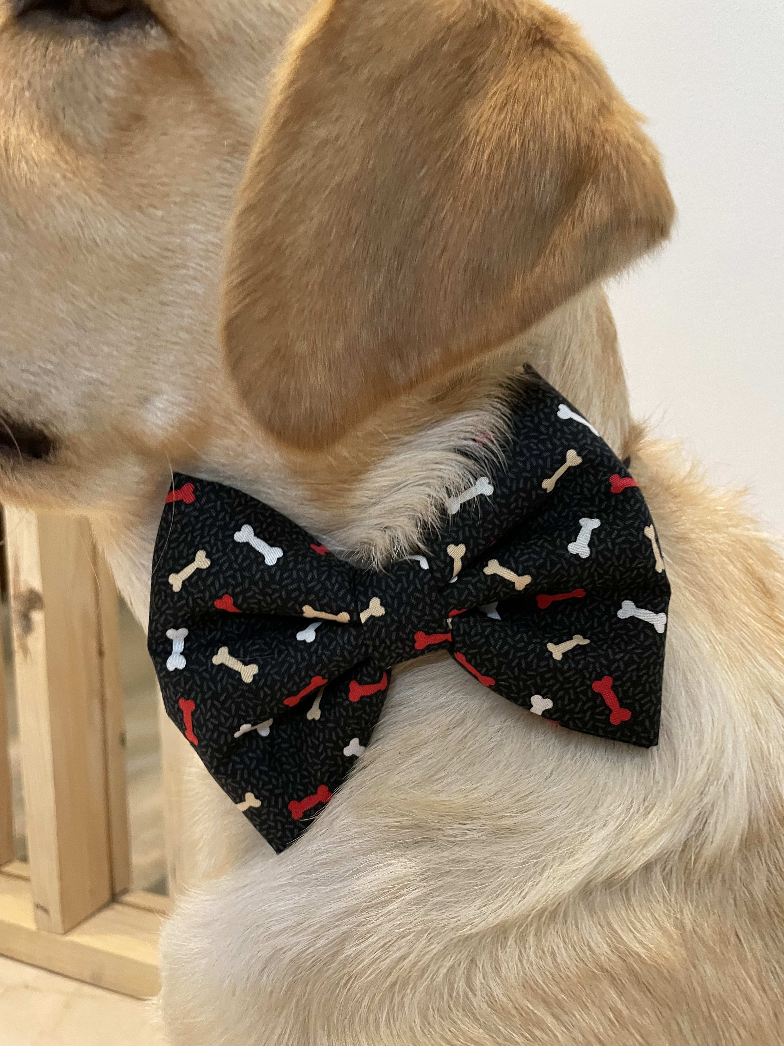 Bone-Appétit Bow Tie image 4