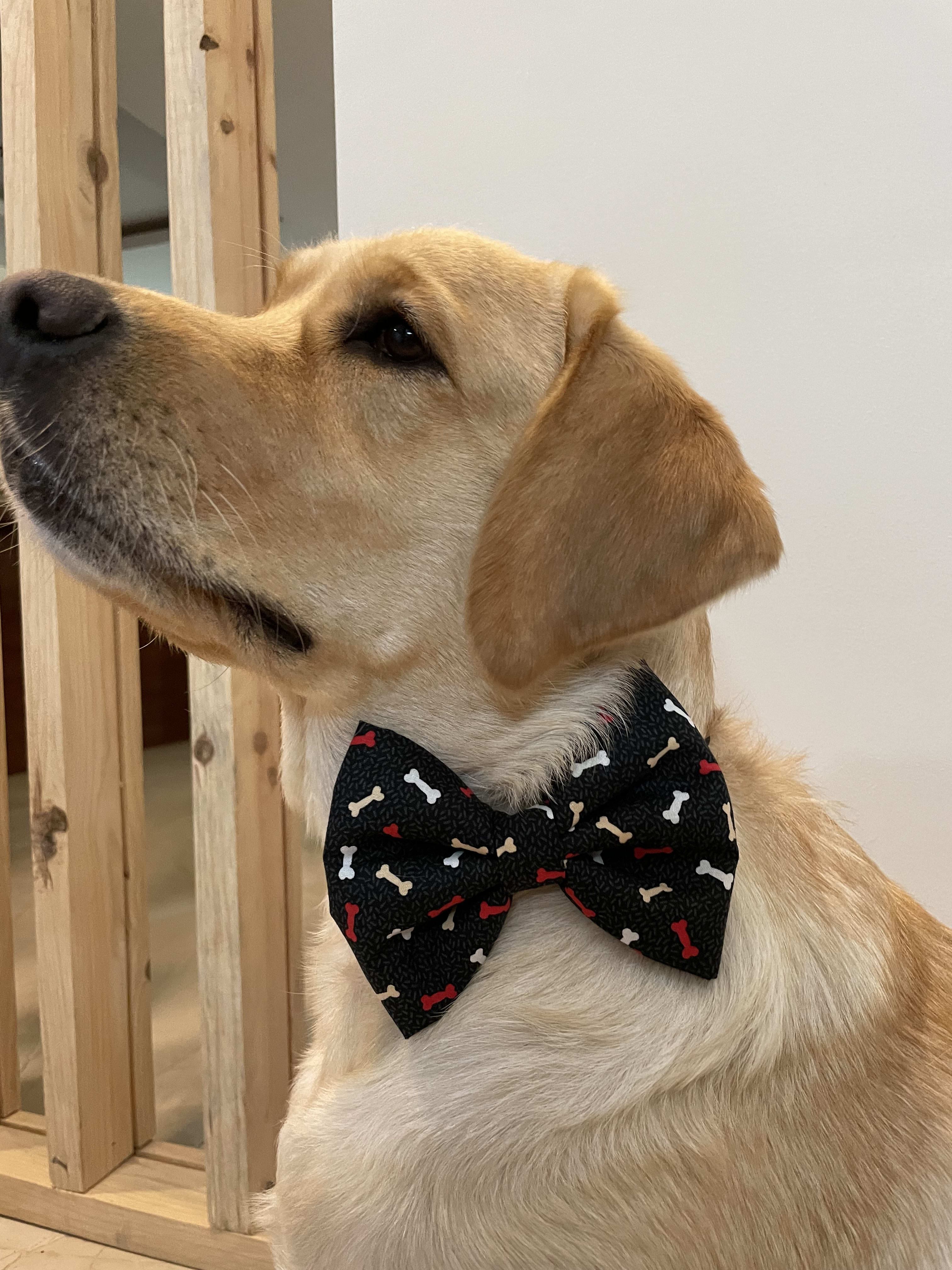 Bone-Appétit Bow Tie image 2