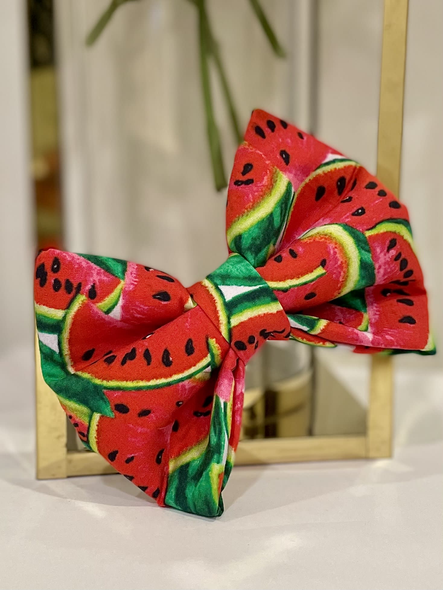 Watermelon Crush Bow Tie