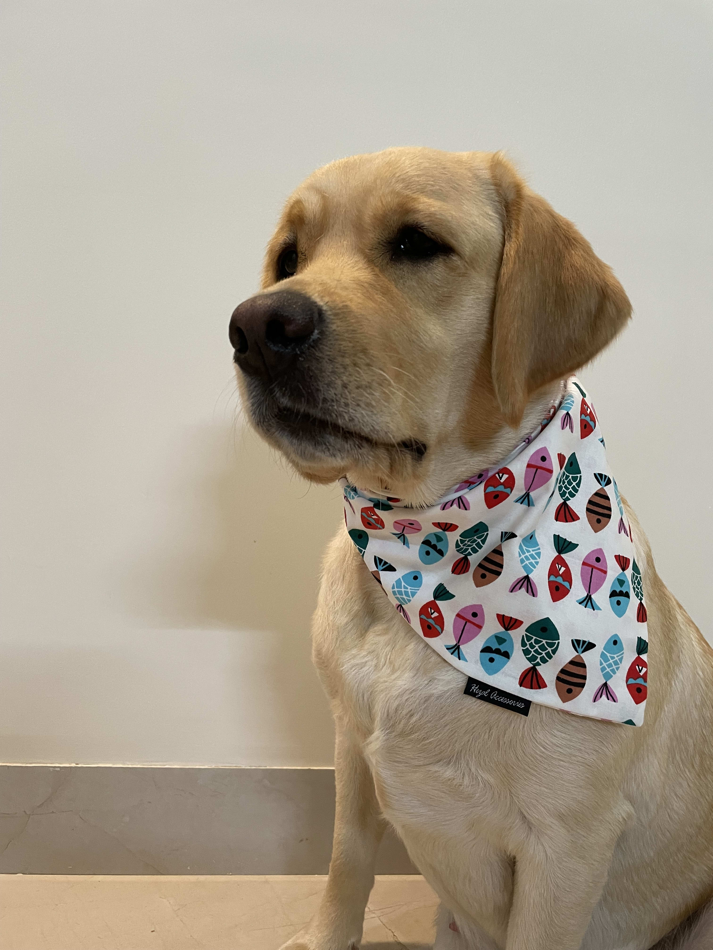 Fin-Tastic Fun Bandana