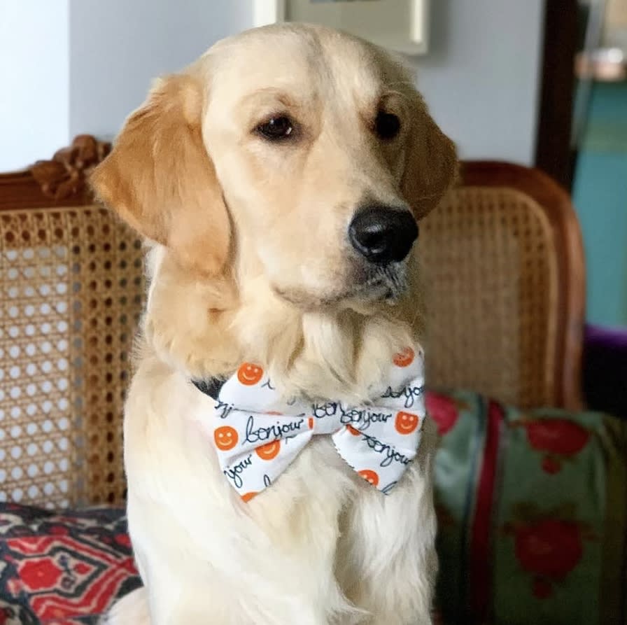 Bonjour Smiley Bow Tie