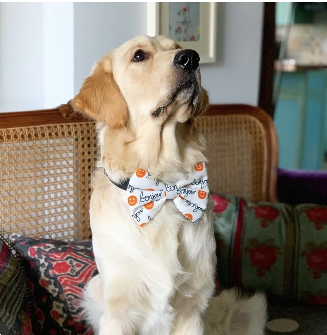 Bonjour Smiley Bow Tie image 3