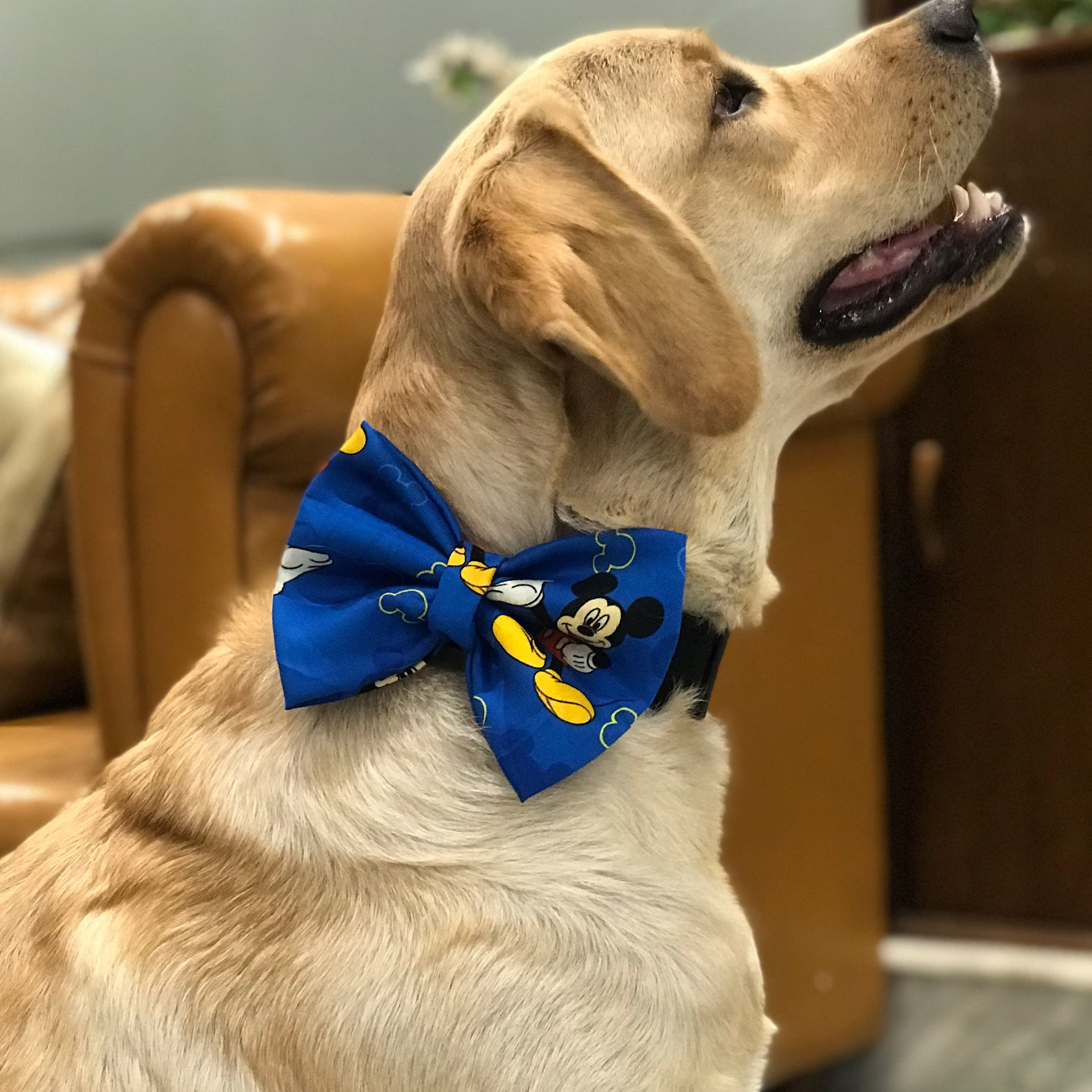 Mickey Magic Bow Tie  image 2