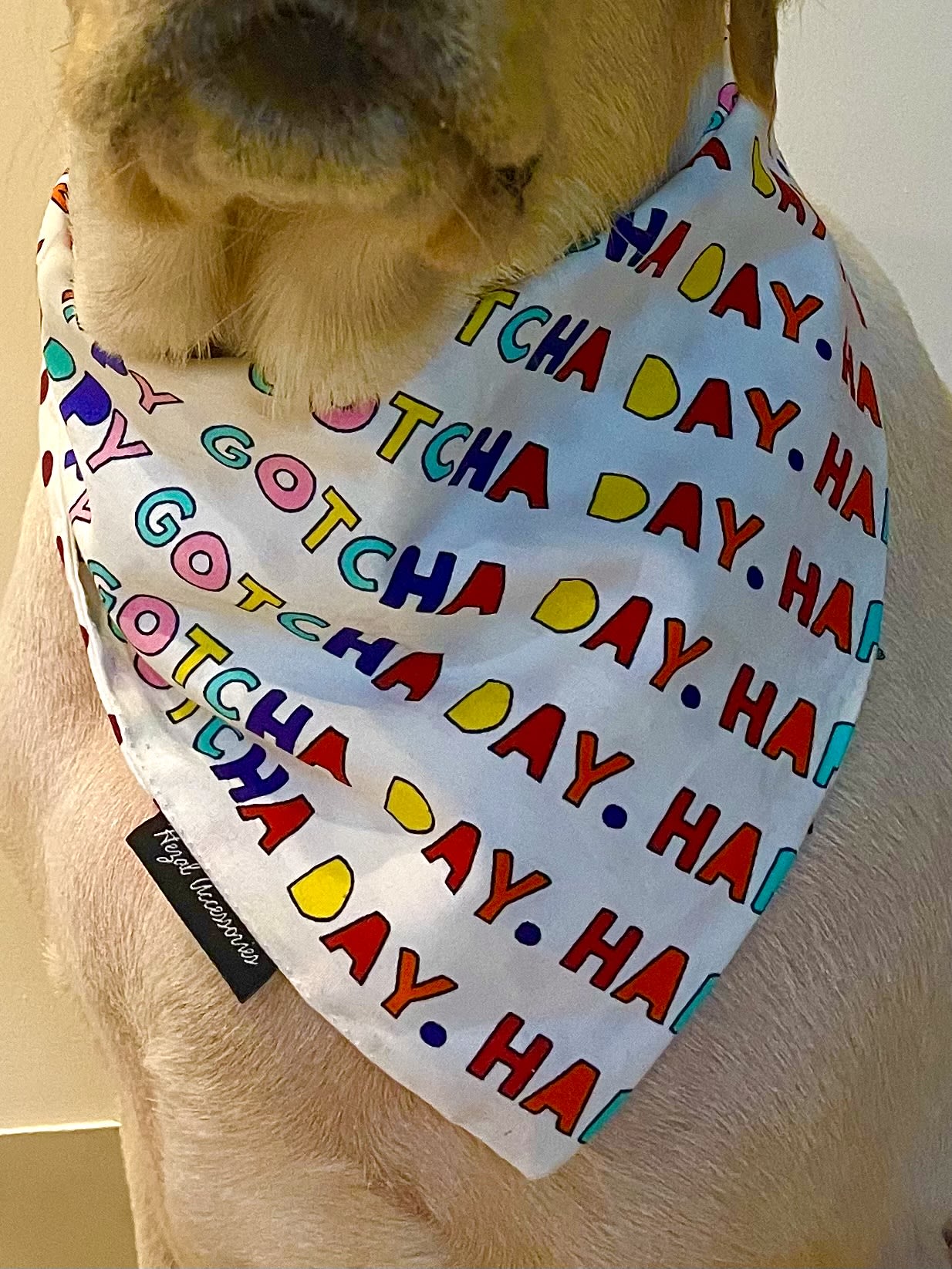 Gotcha Day Celebration tie on Bandana image 2