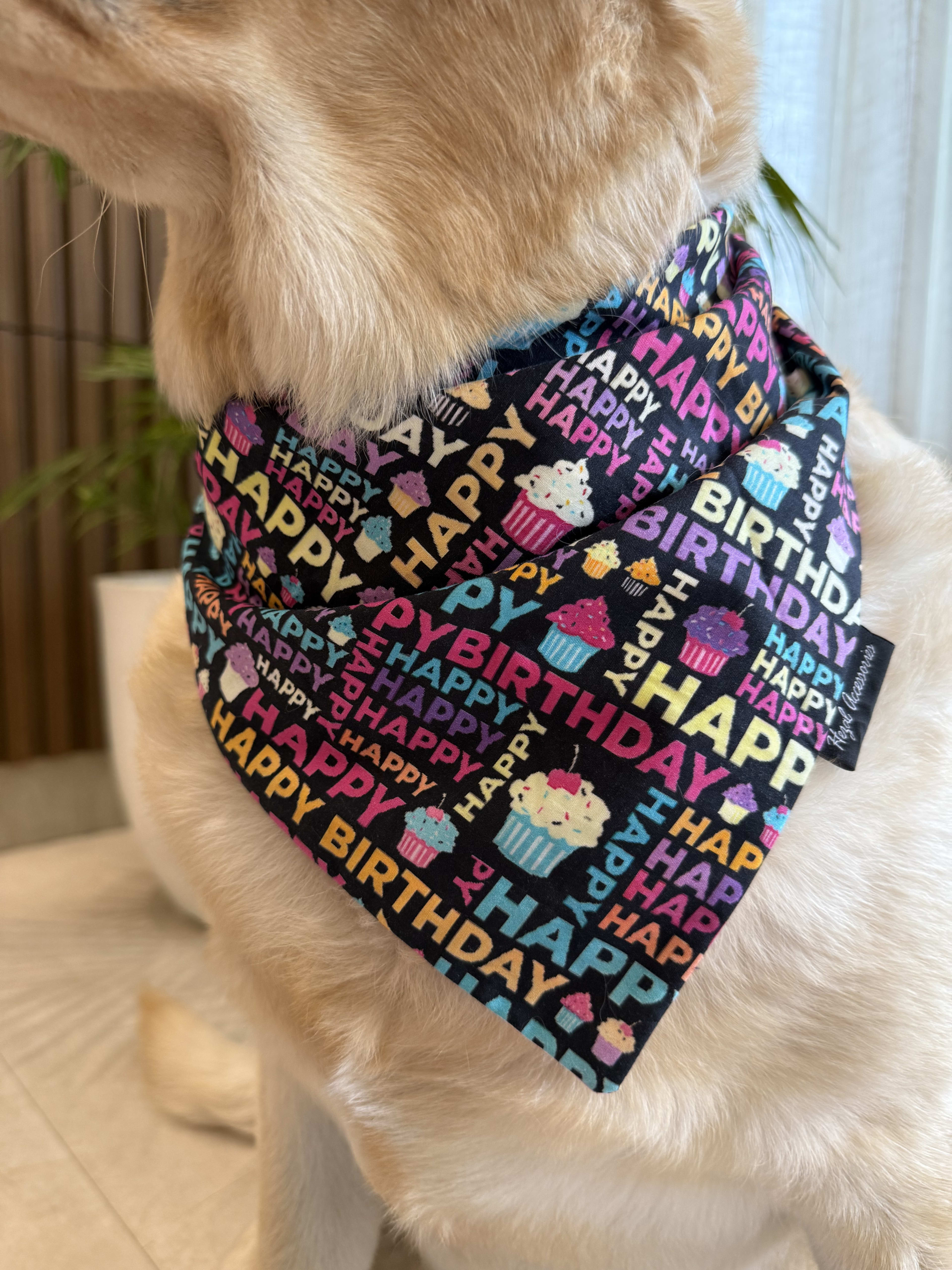 Birthday Pawty tie on Bandana image 4