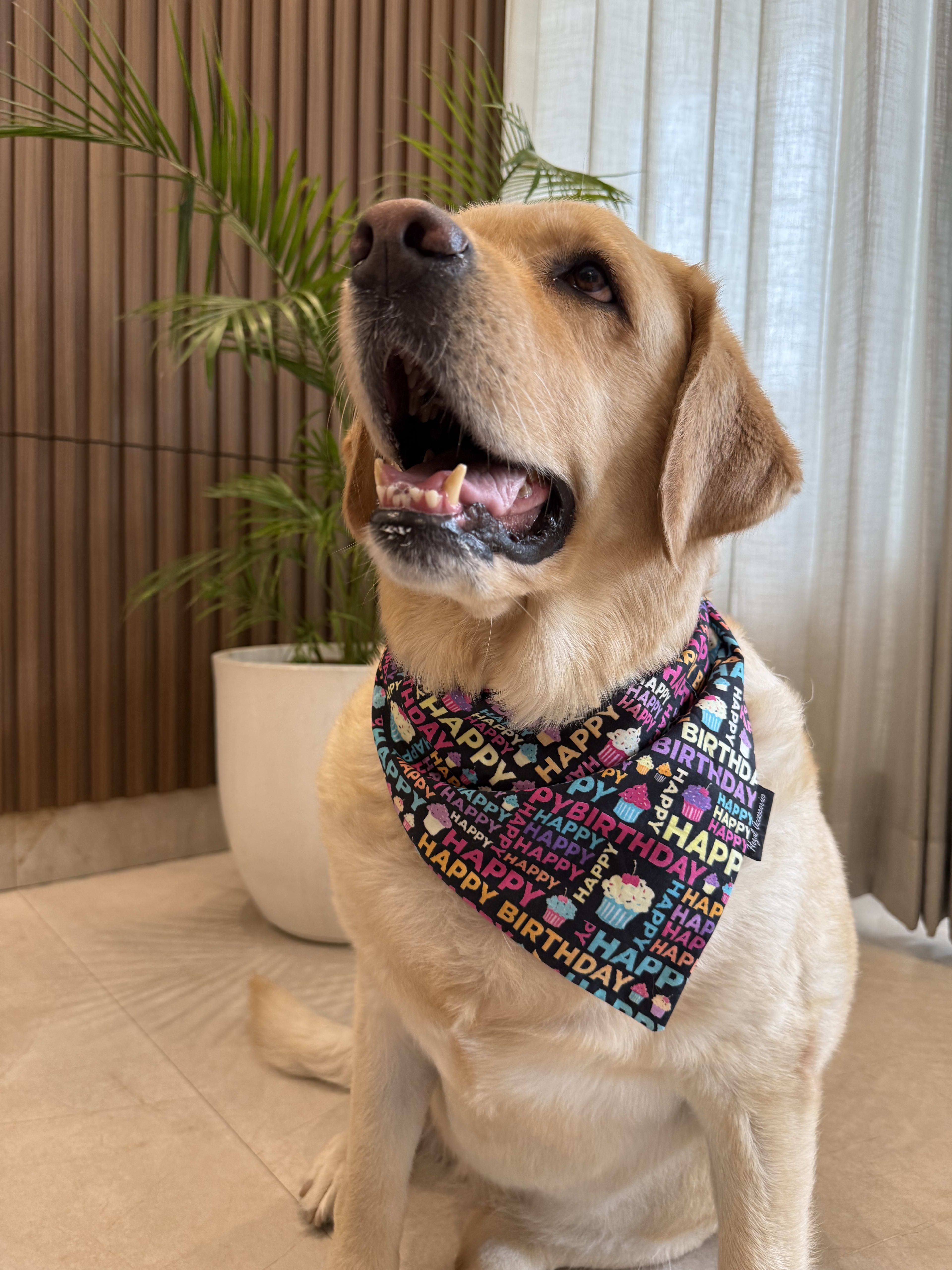 Birthday Pawty tie on Bandana image 2