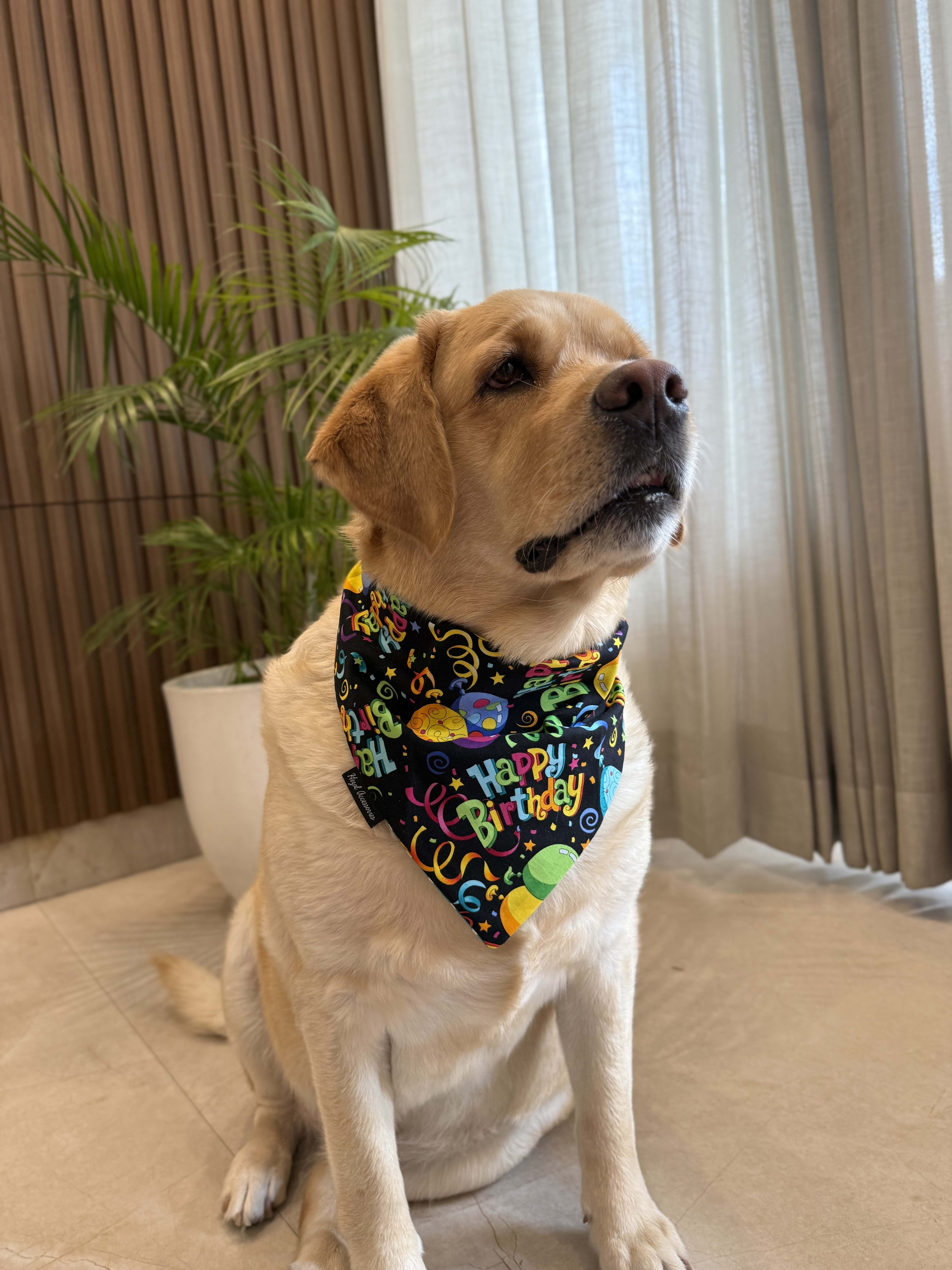 Hooray! It’s My Day tie on Bandana image 2