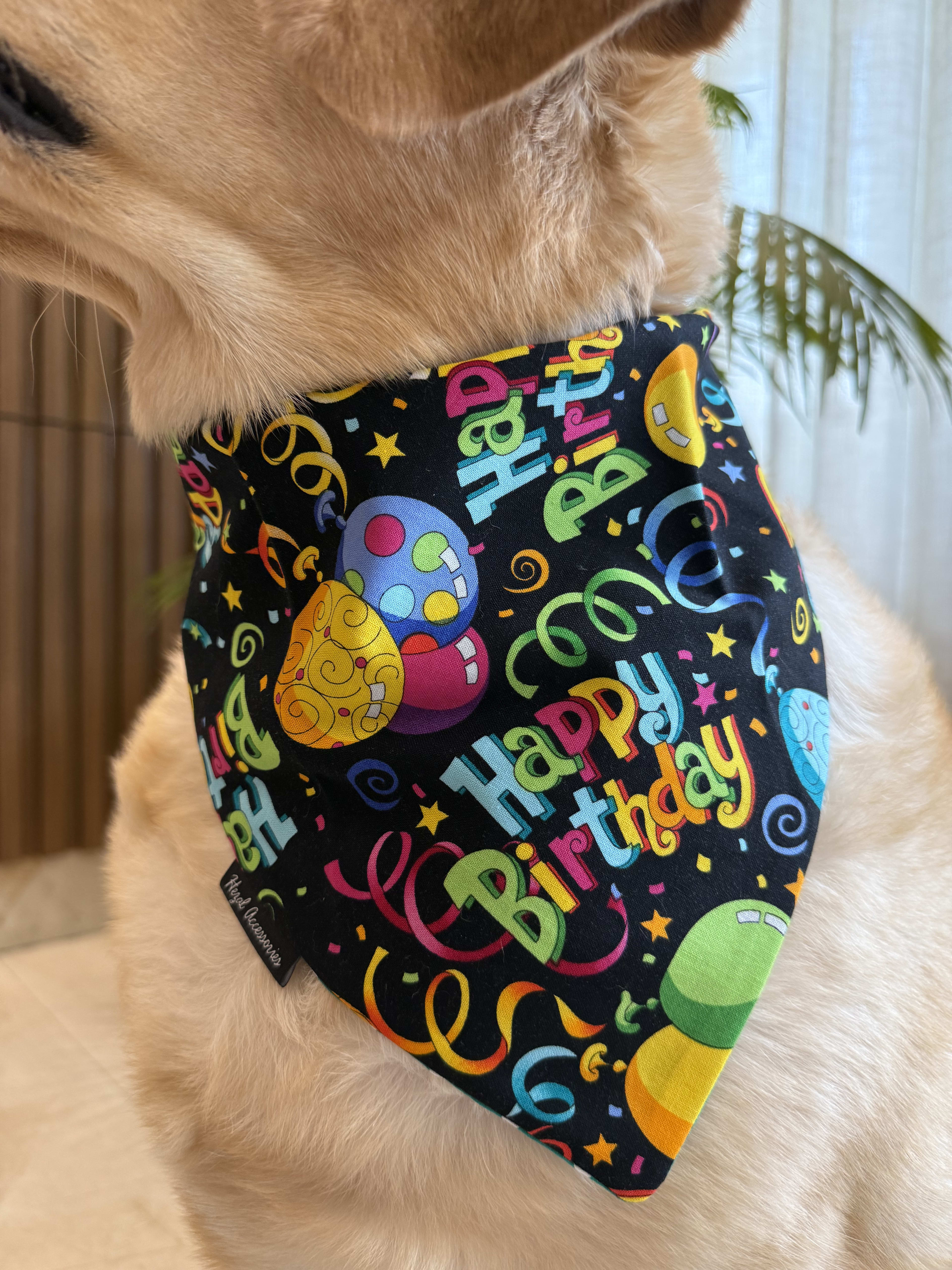 Hooray! It’s My Day tie on Bandana image 3