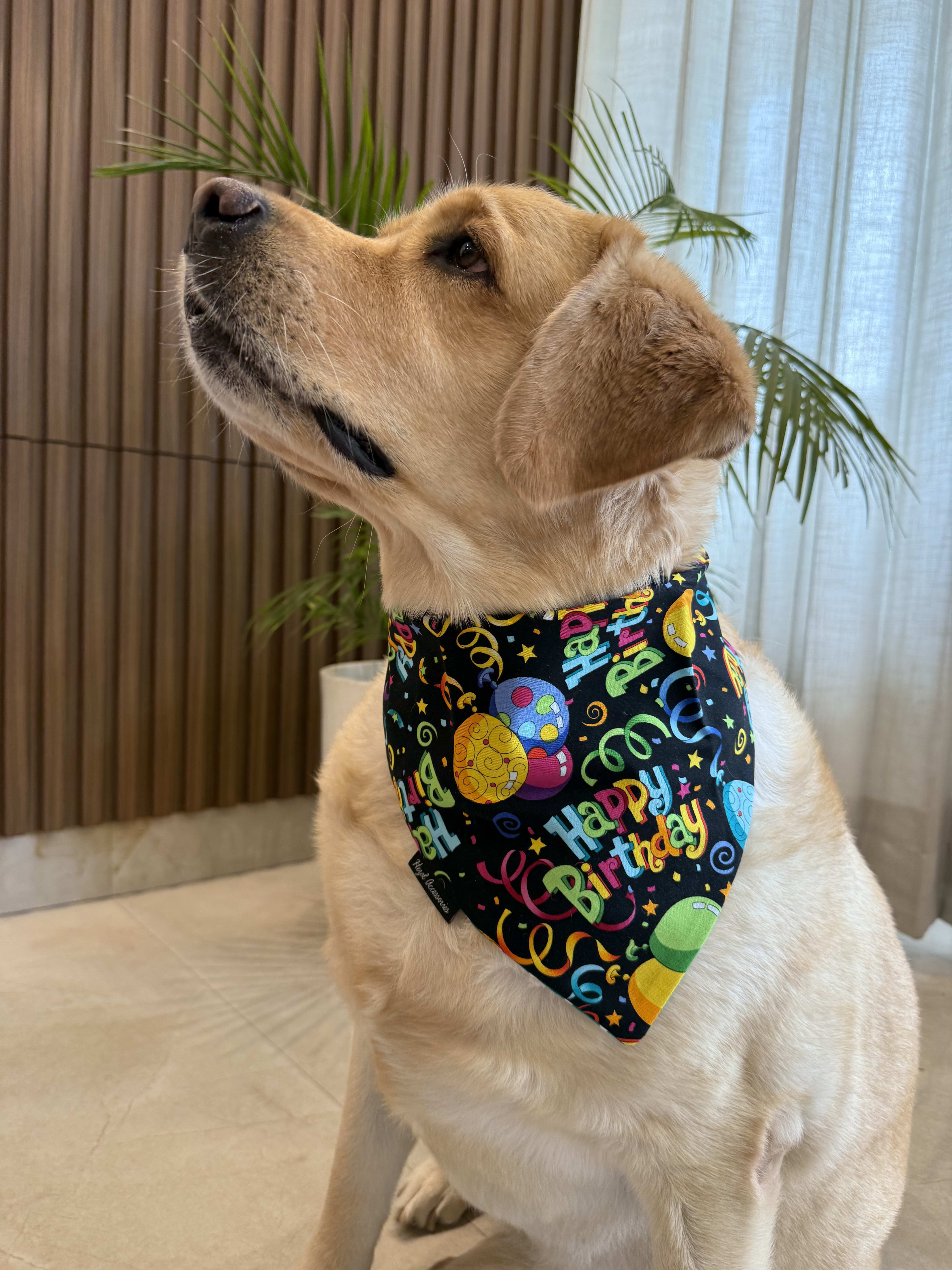 Hooray! It’s My Day tie on Bandana