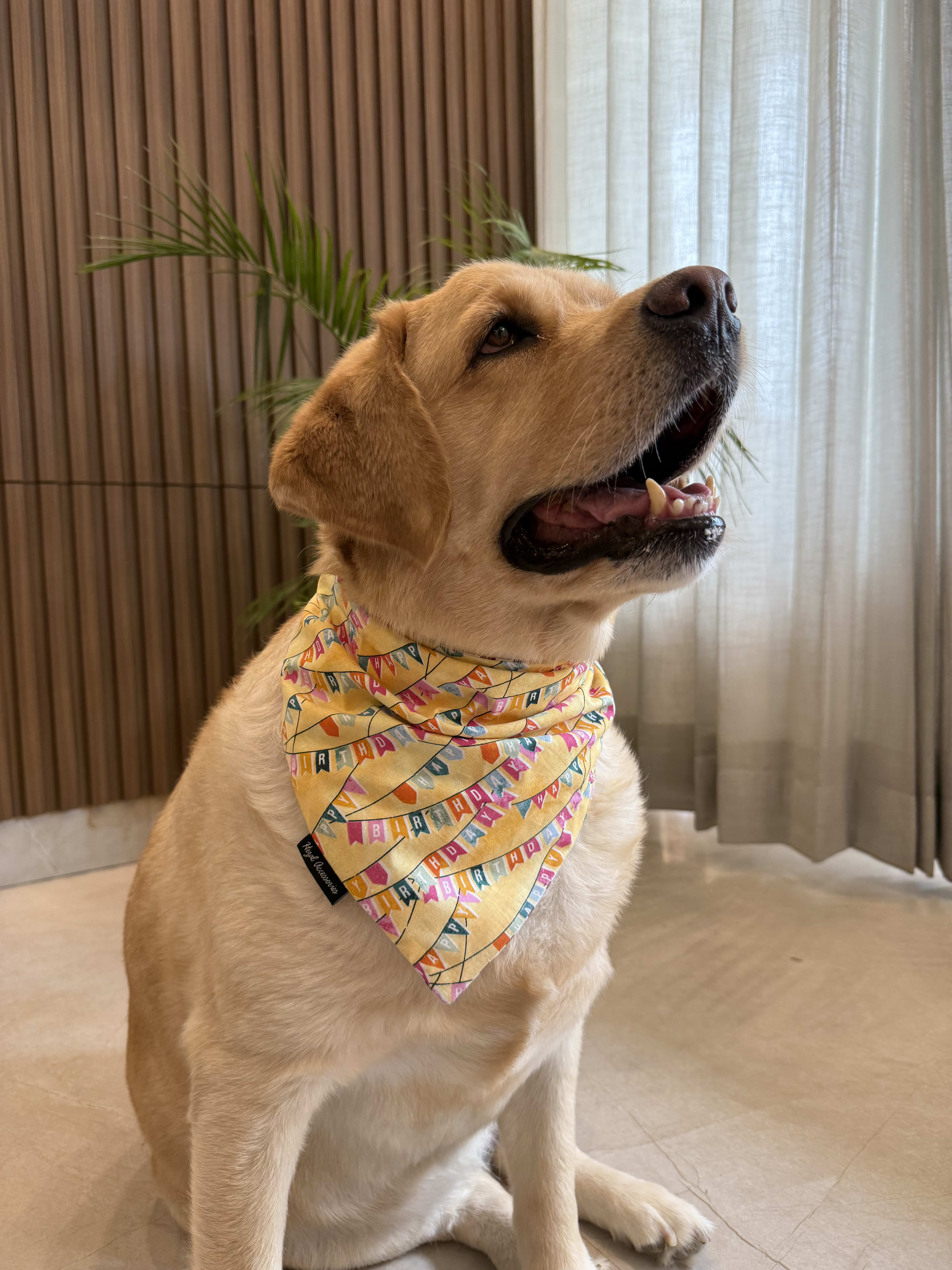Birthday Bunting Bliss tie on Bandana